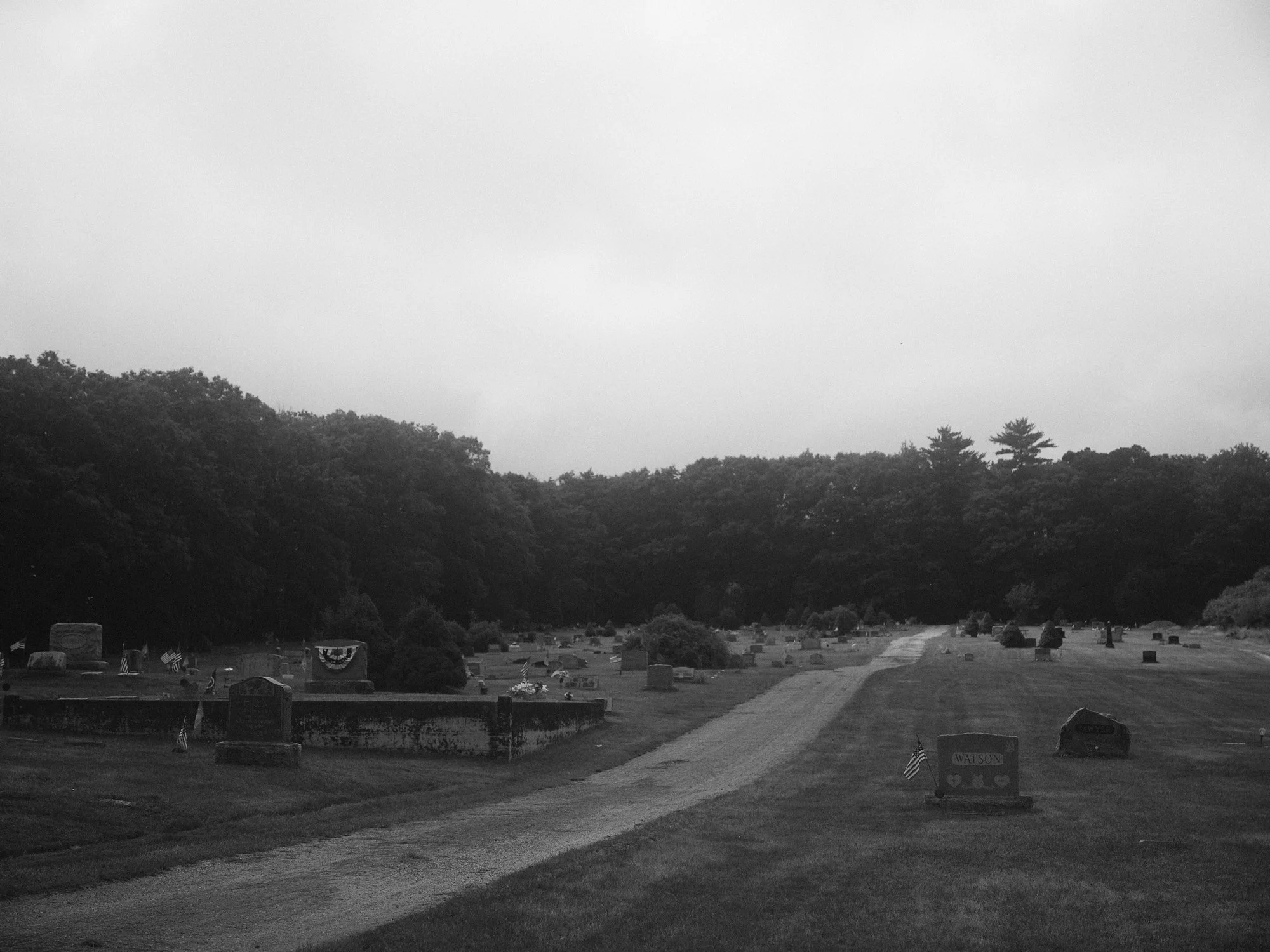 DSCF4356.jpg