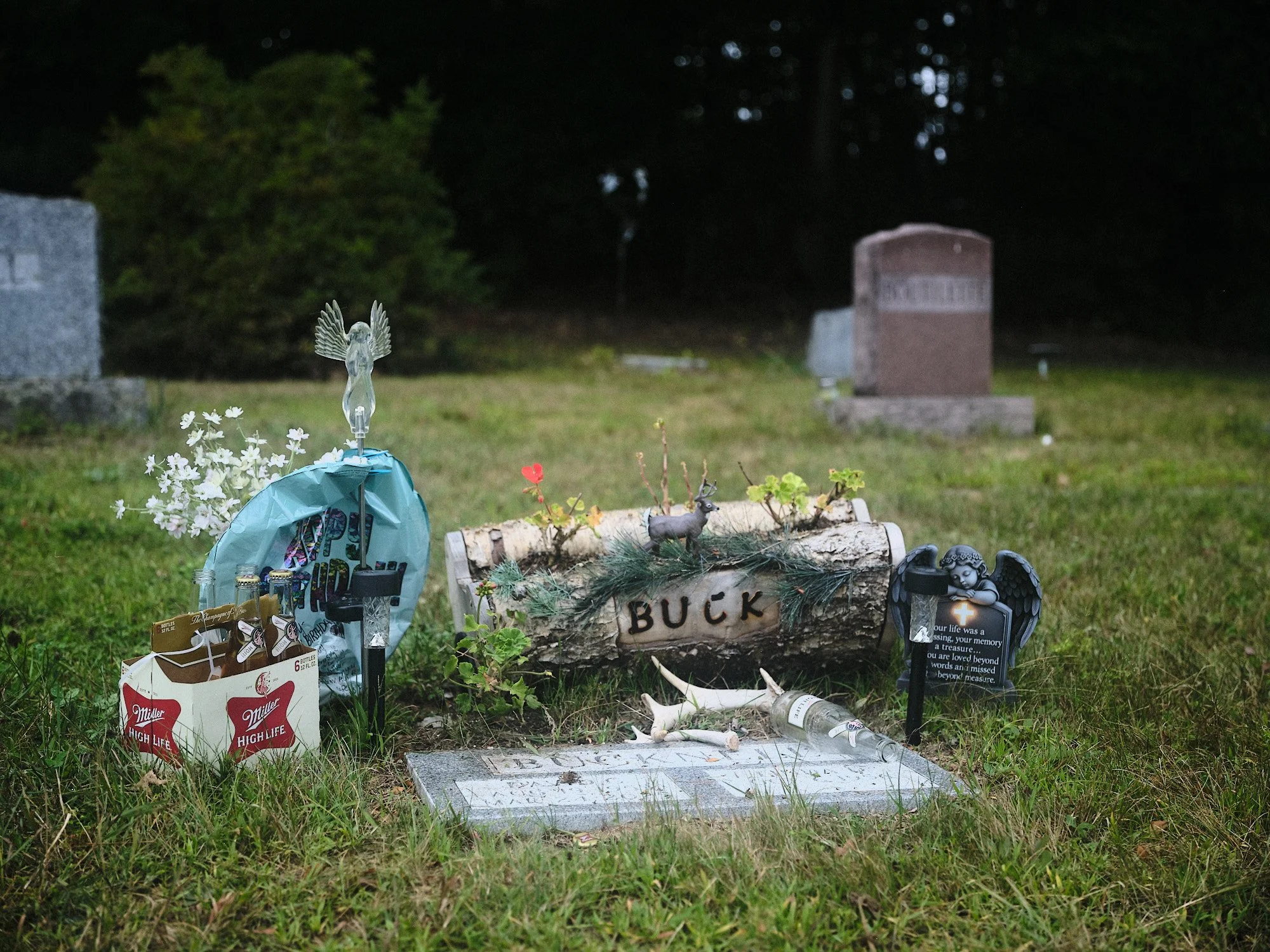 DSCF4363 1.jpg