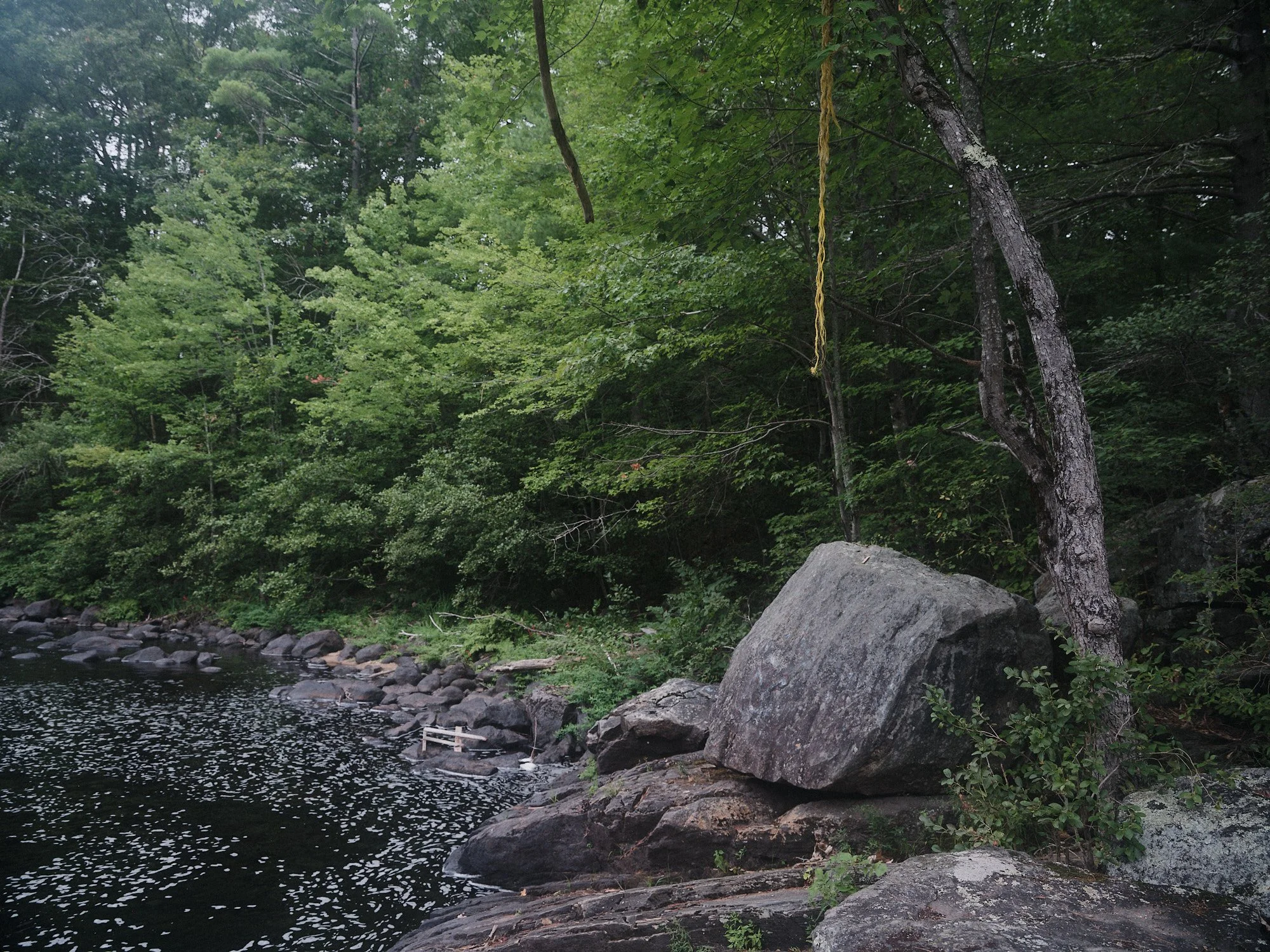 DSCF4383.jpg