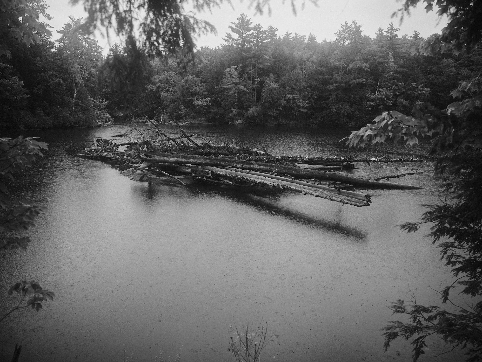 DSCF4459.jpg