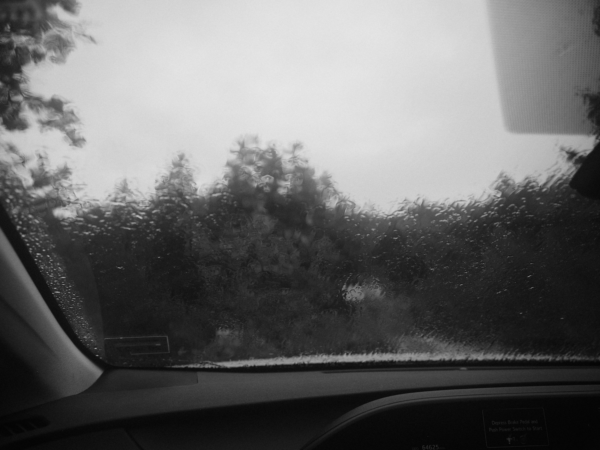 DSCF4465.jpg