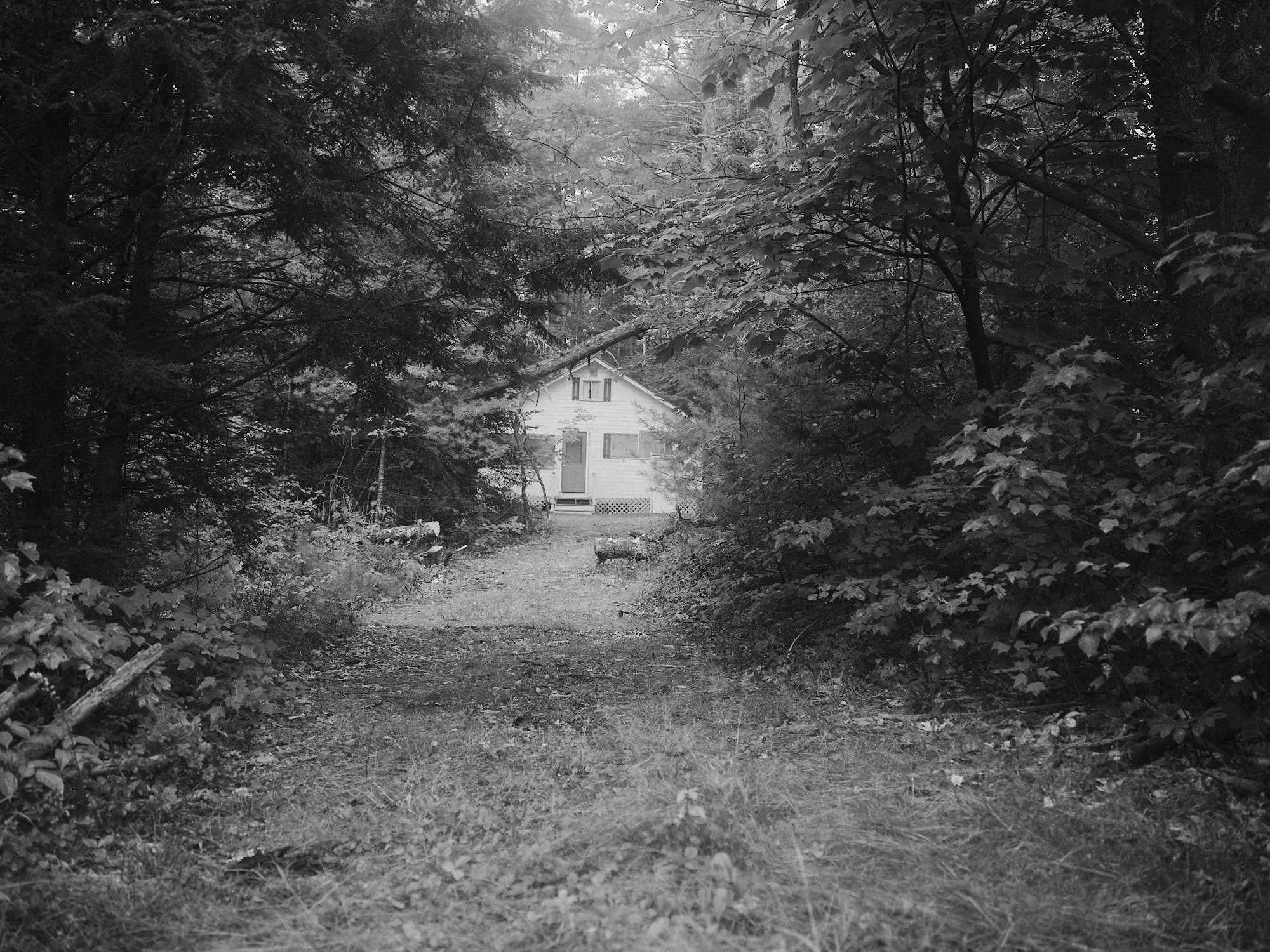 DSCF4442.jpg