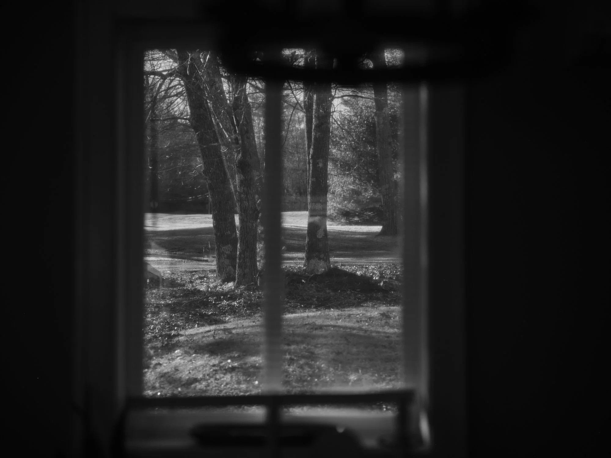 DSCF3209.jpg