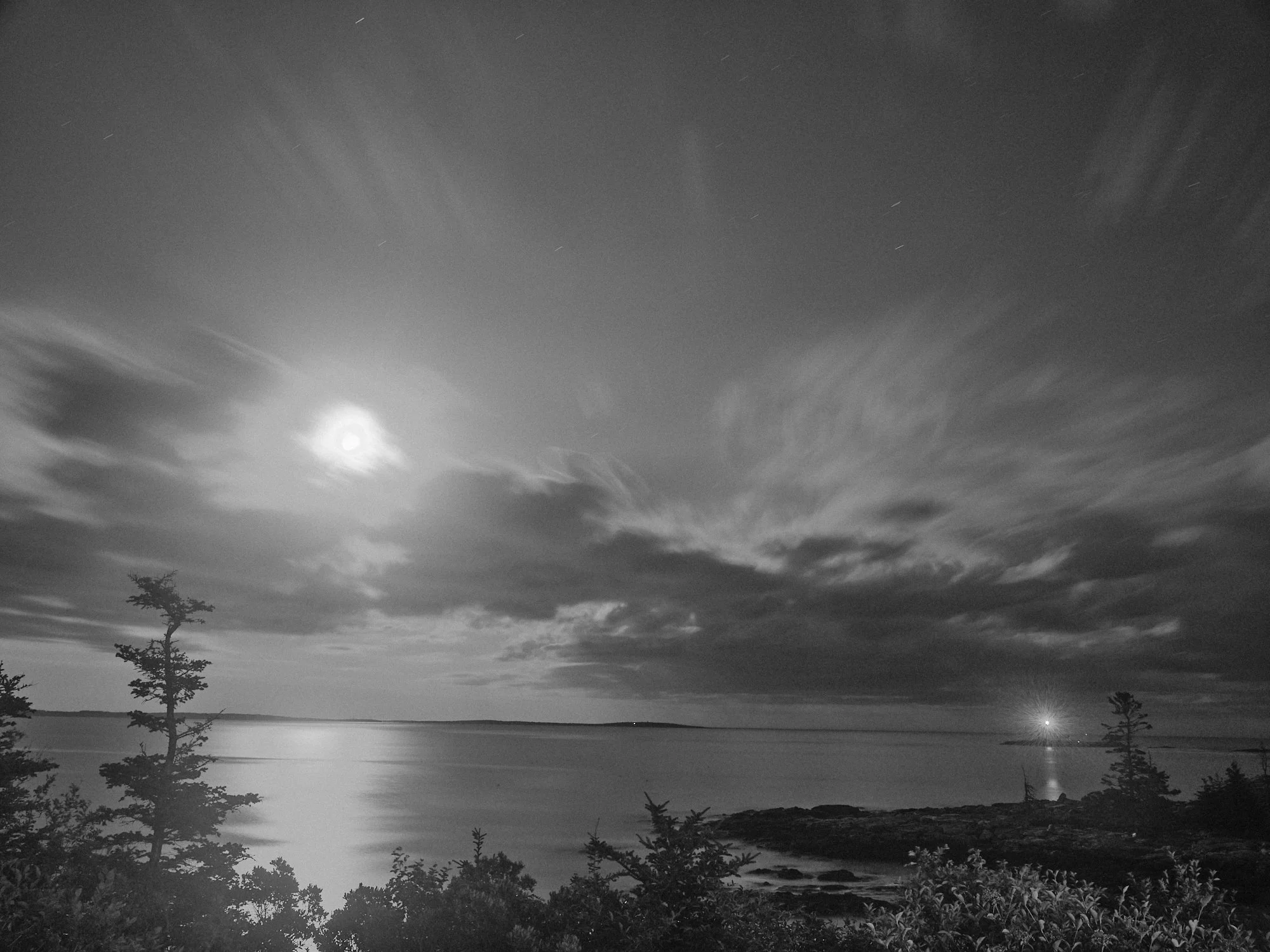 DSCF4274.jpg