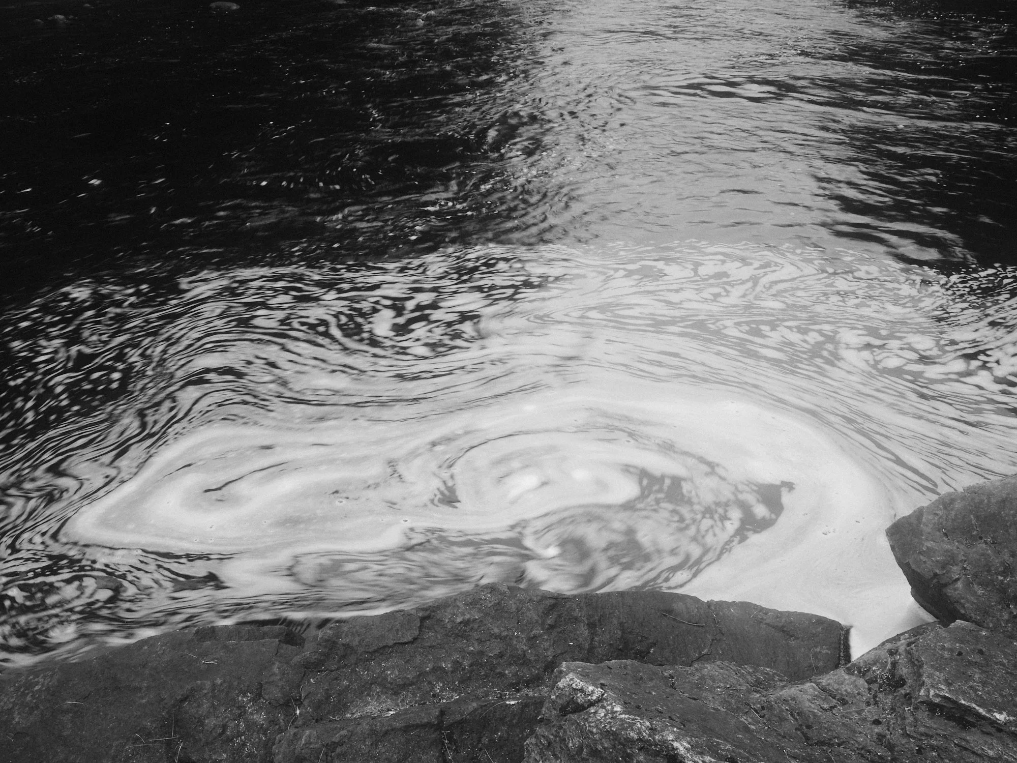 DSCF4391.jpg