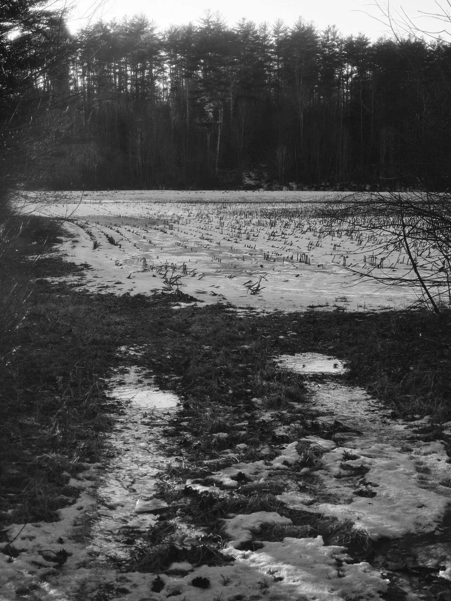 DSCF2726.jpg