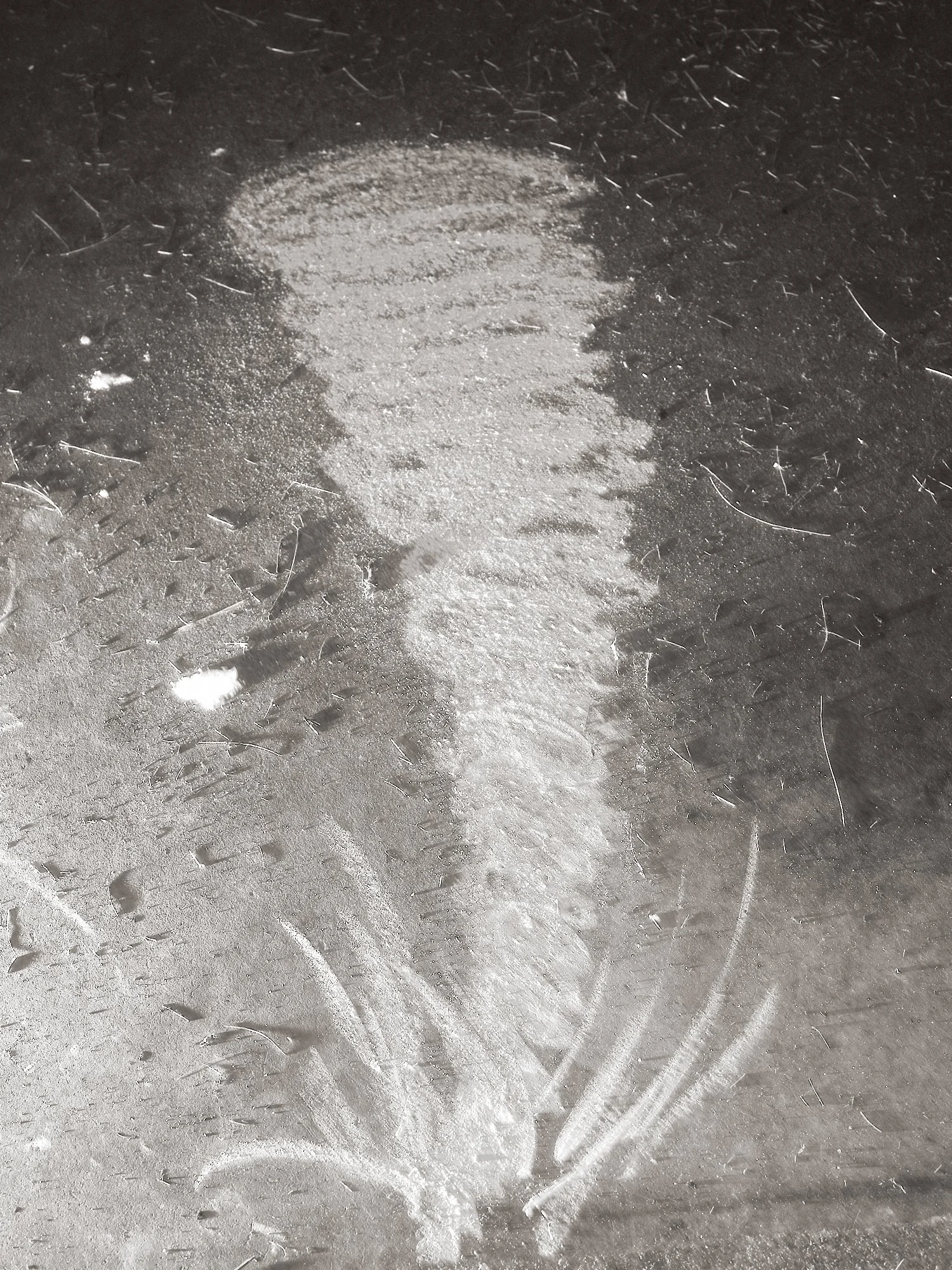 DSCF4493.jpg