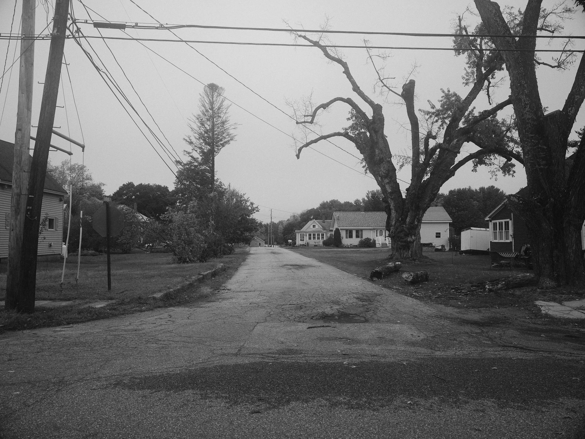 DSCF4588.jpg