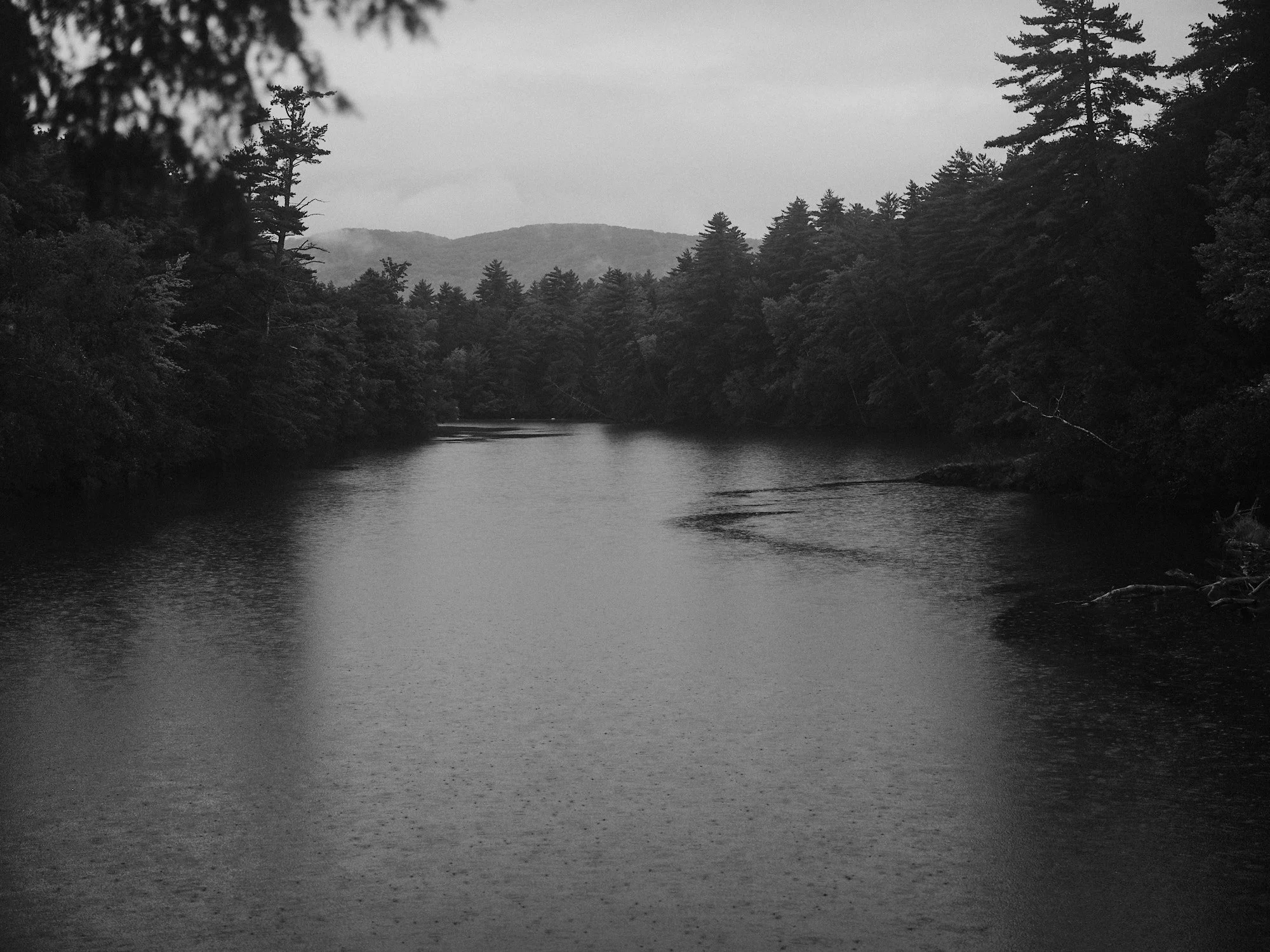 DSCF4458 1.jpg