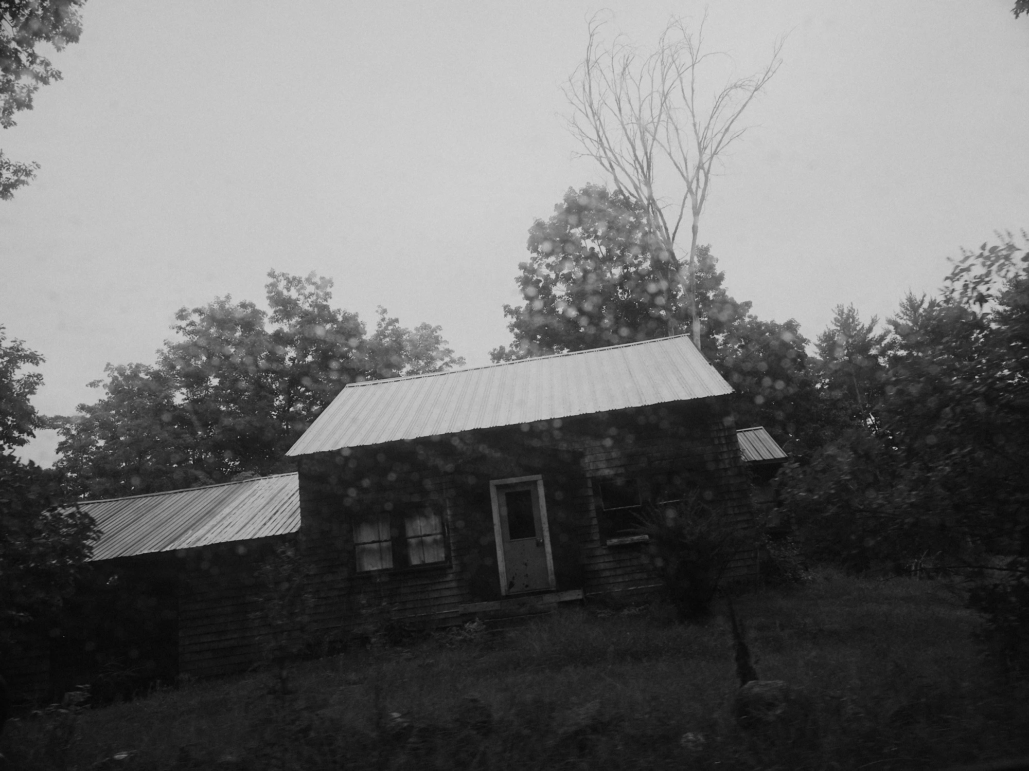 DSCF4454.jpg