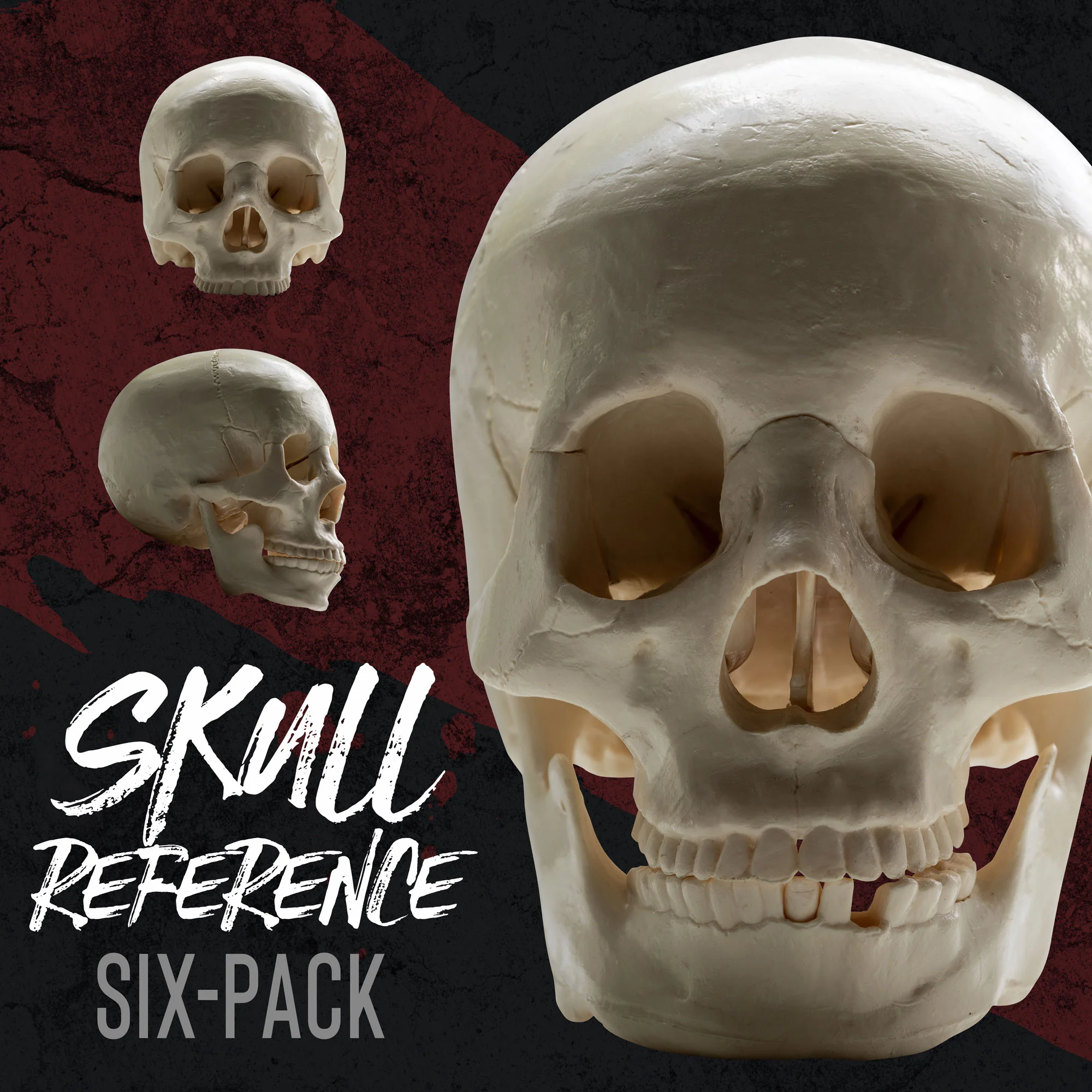 DW_SKULL_REFERENCE_THUMBNAIL.jpg