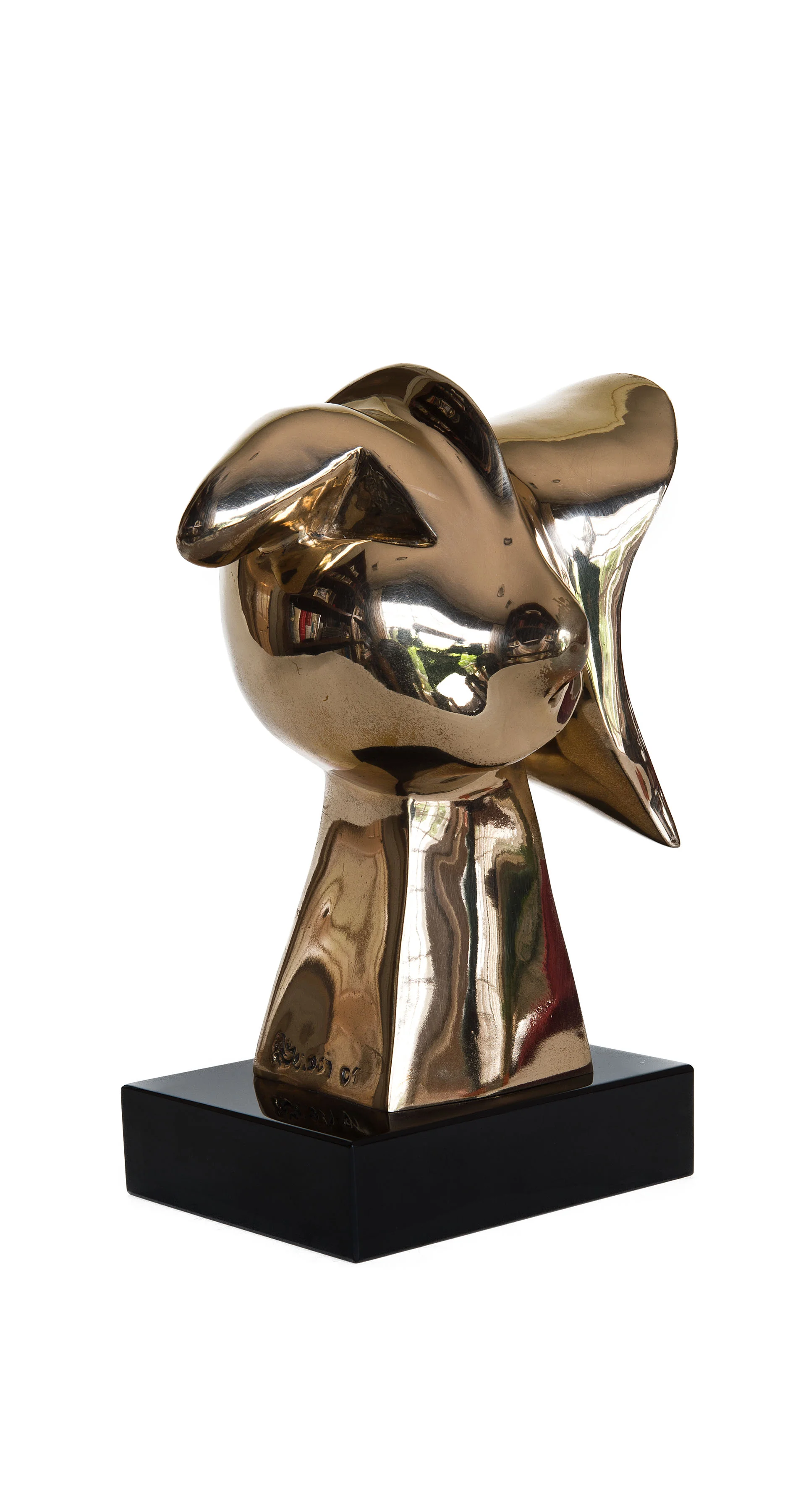 Cognitive Dissonance 