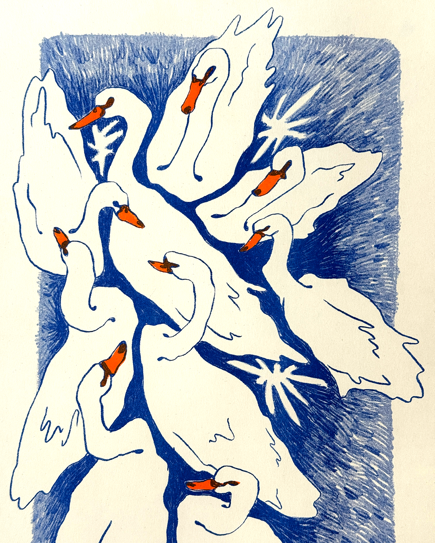 IMG_8938.png
