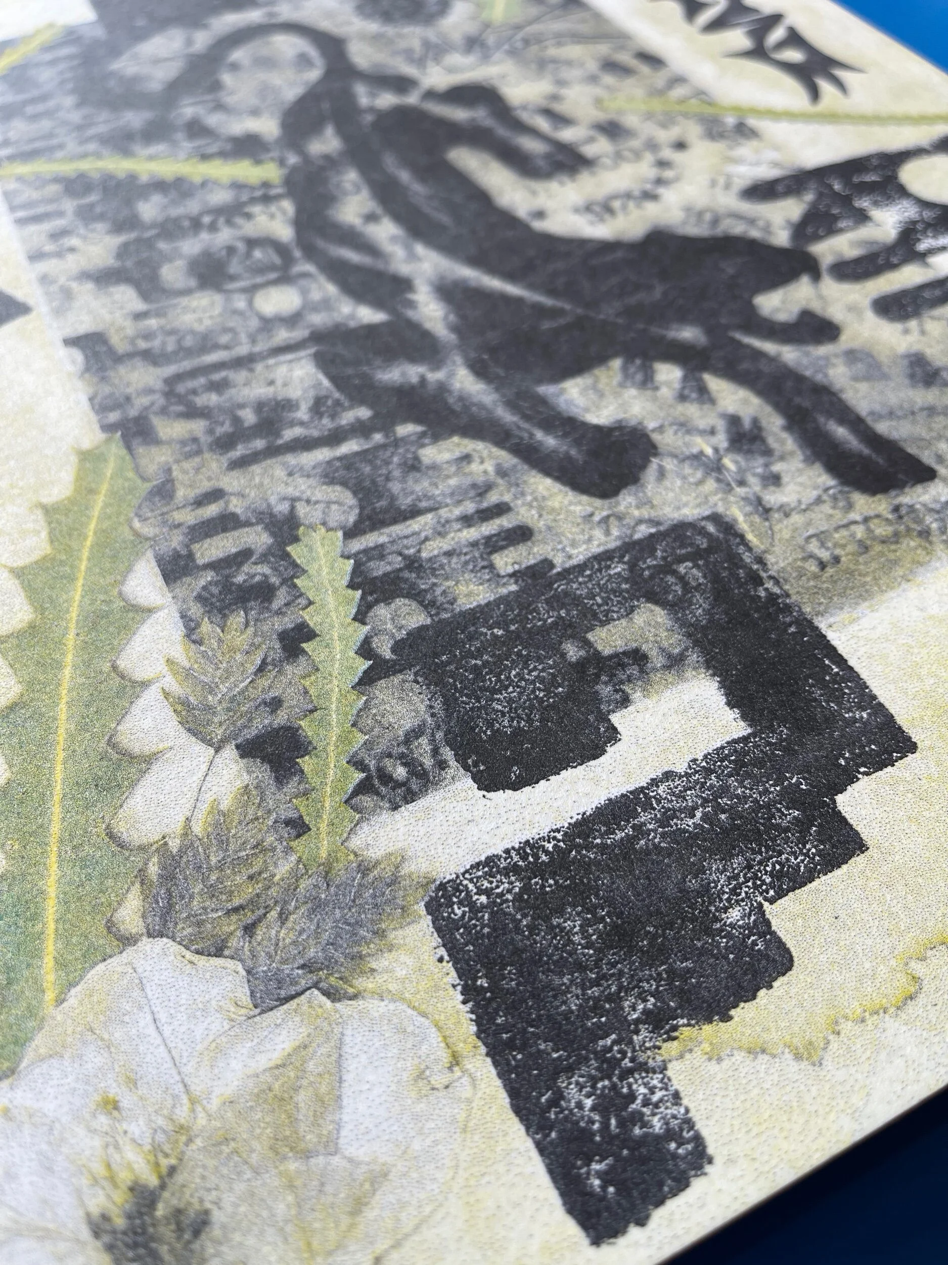 6D5C2C68-A830-41D0-9640-9948679DEF20