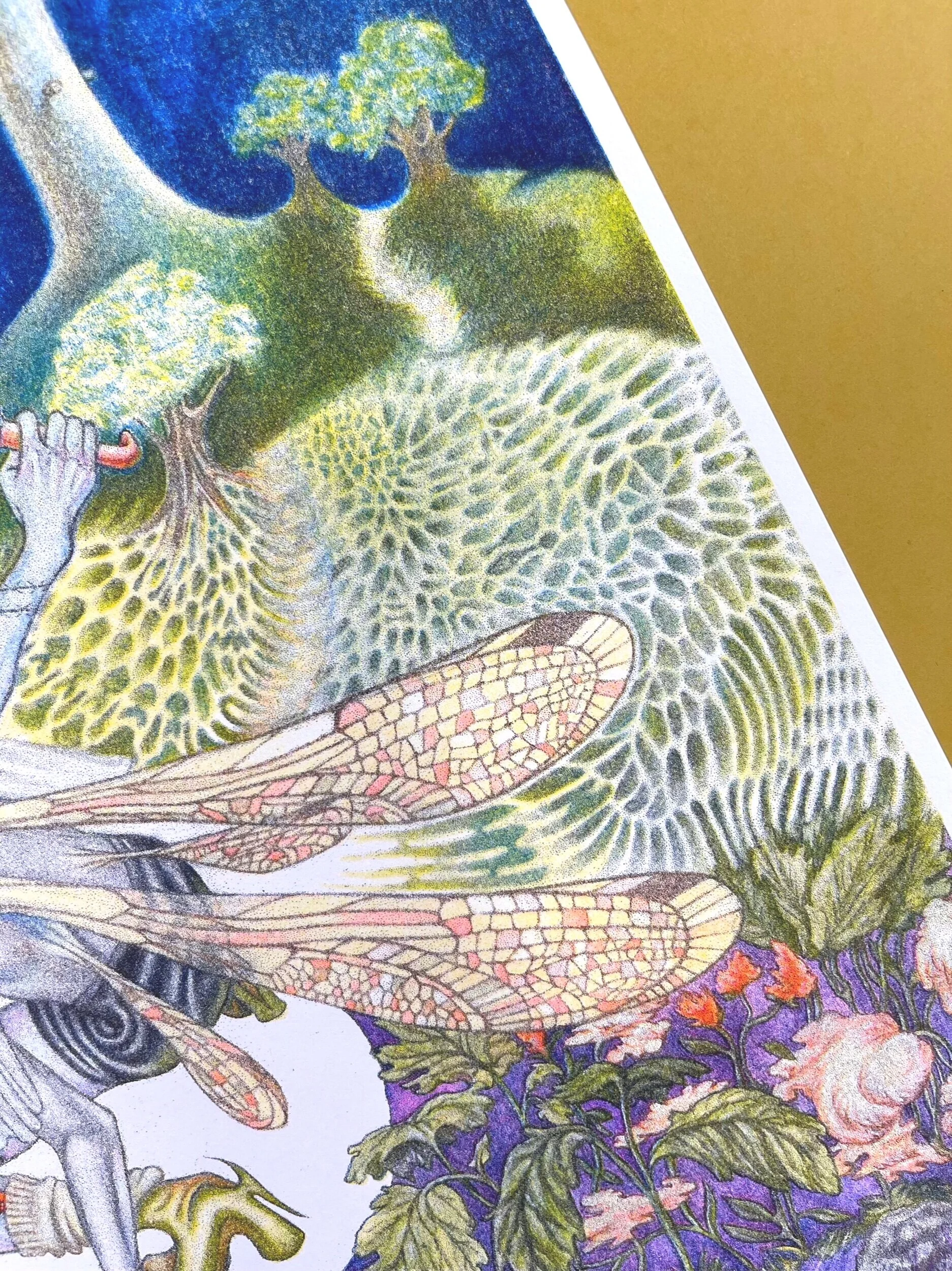 9ED5A970-ED5A-4CB5-97E6-4C85AFF66A24