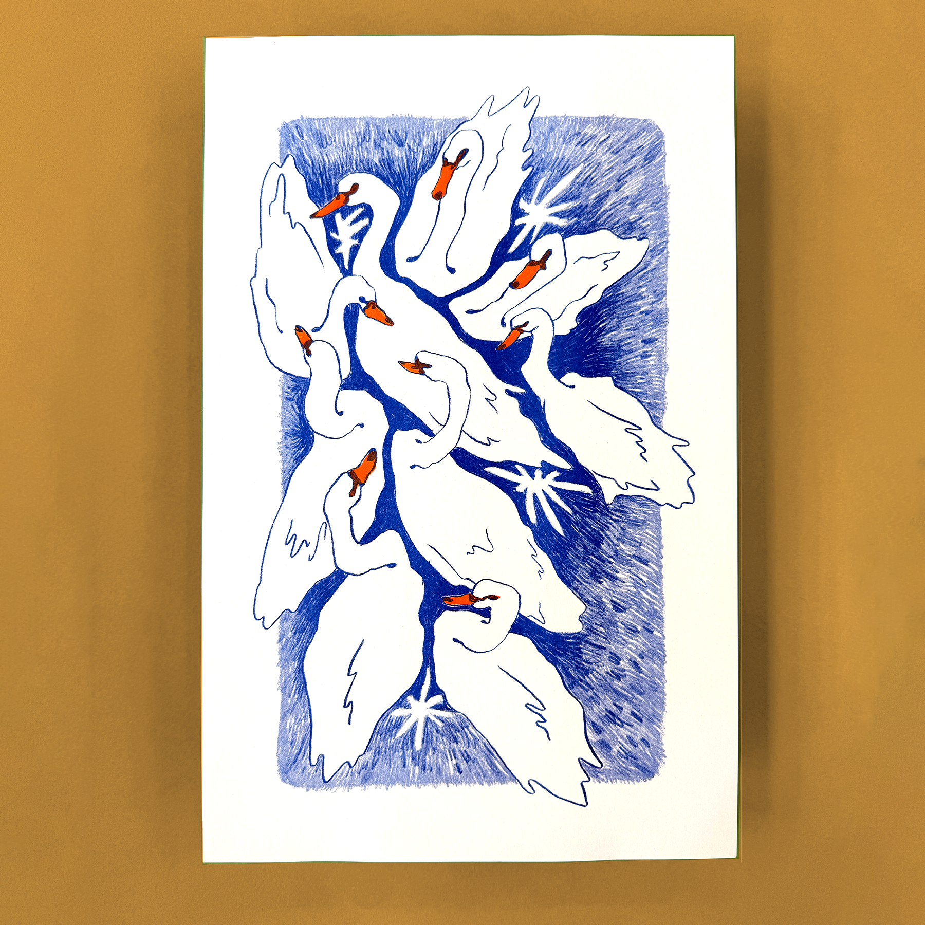 FLOCK - SWANS: Risograph by Catherine Rybak