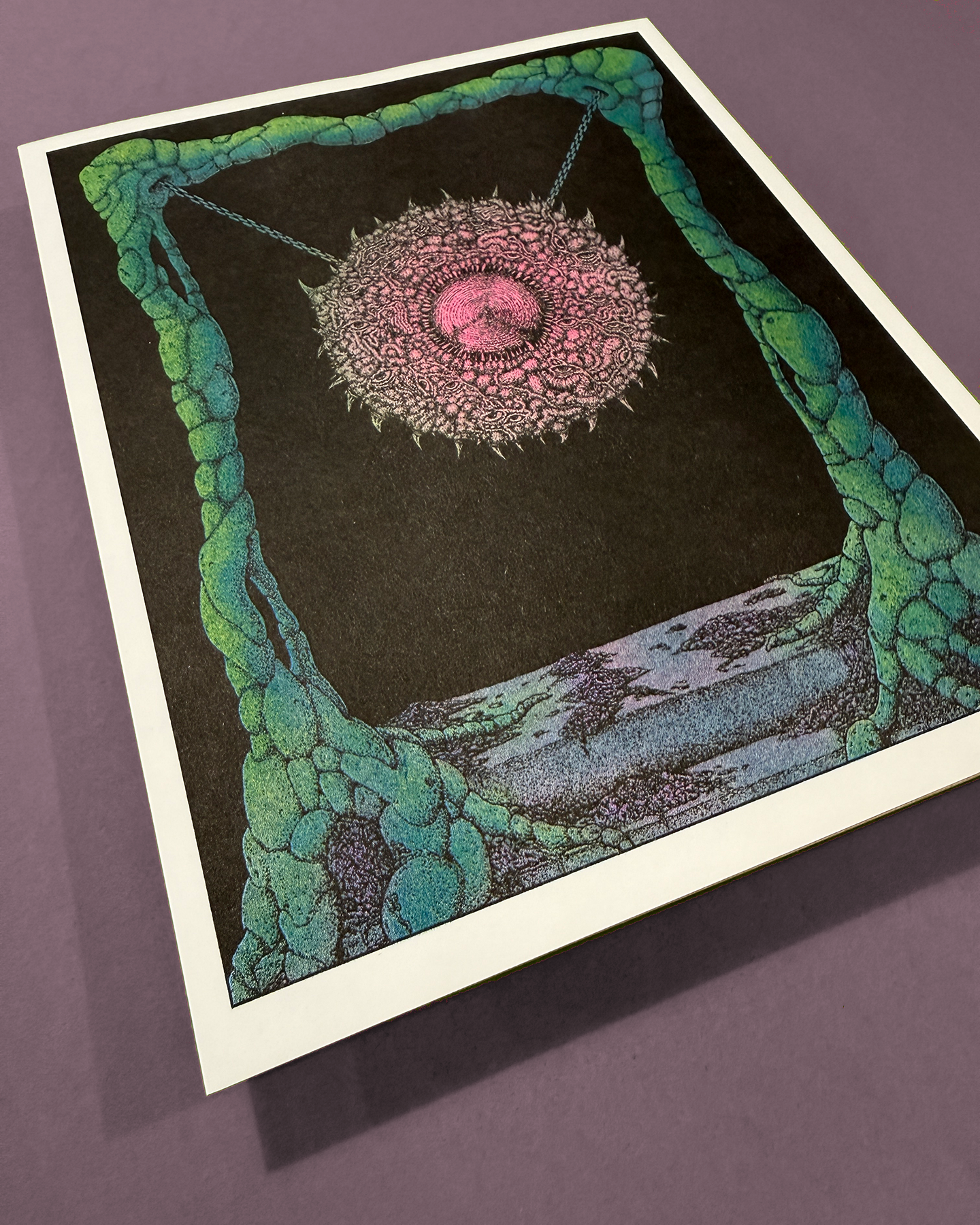 IMG_9440.png