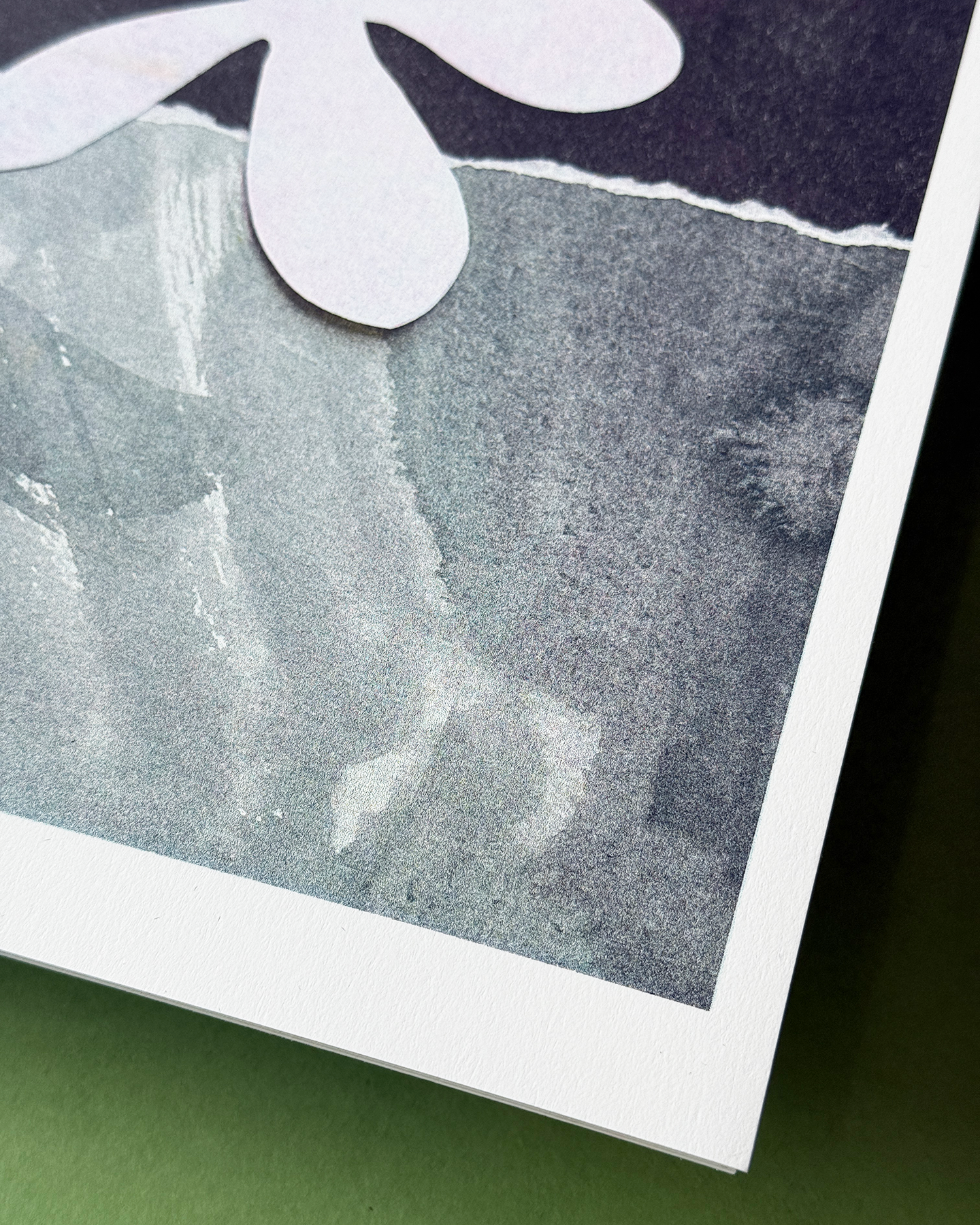 IMG_8817.png