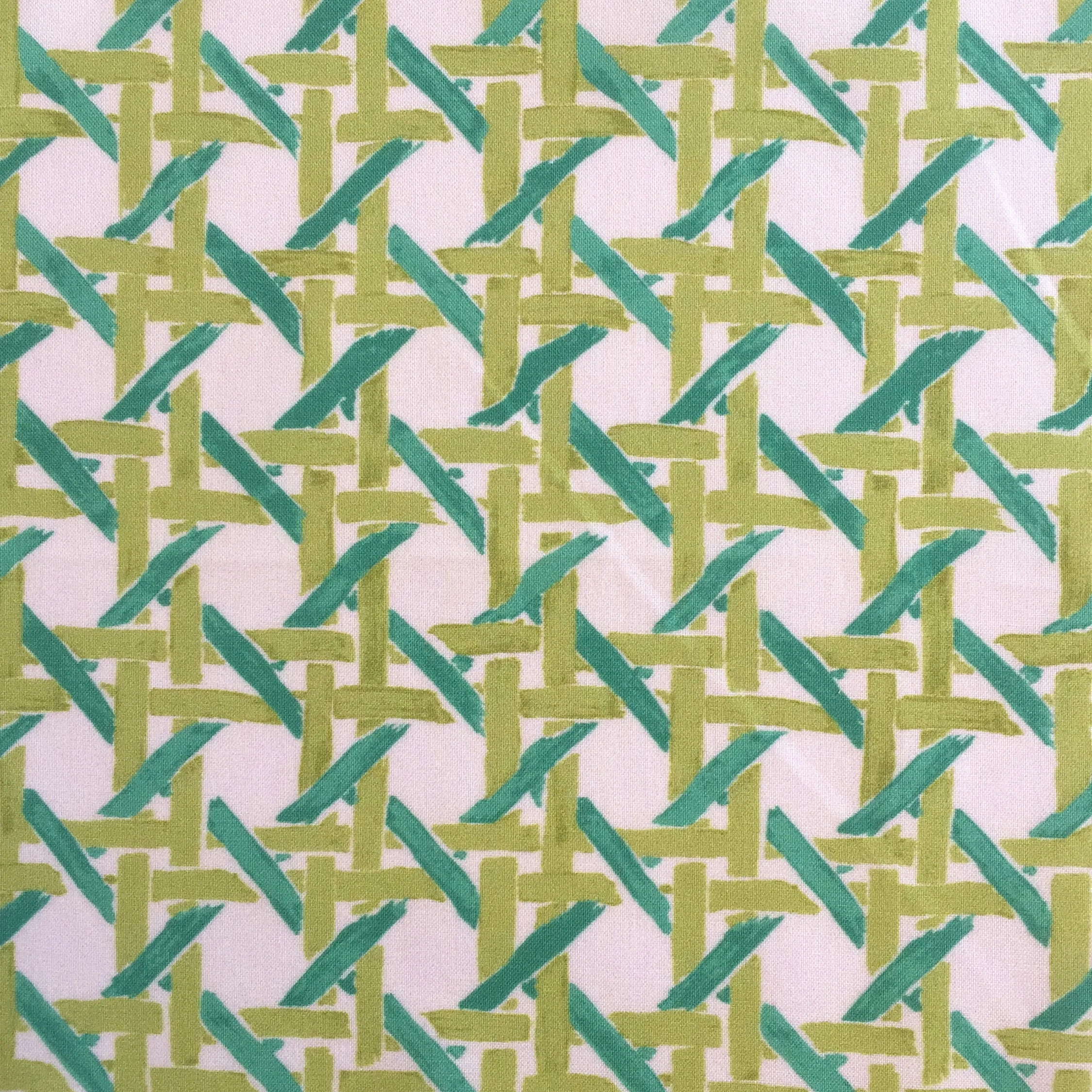 Cane Print in CREAM/JADE PALM SPRINGS COLLECTION