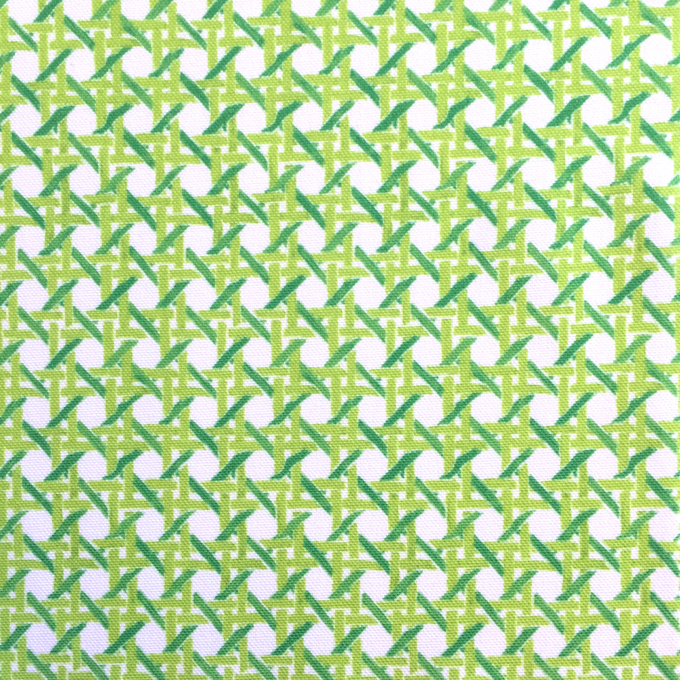 MINI Cane Print in Gimlet PALM SPRINGS COLLECTION