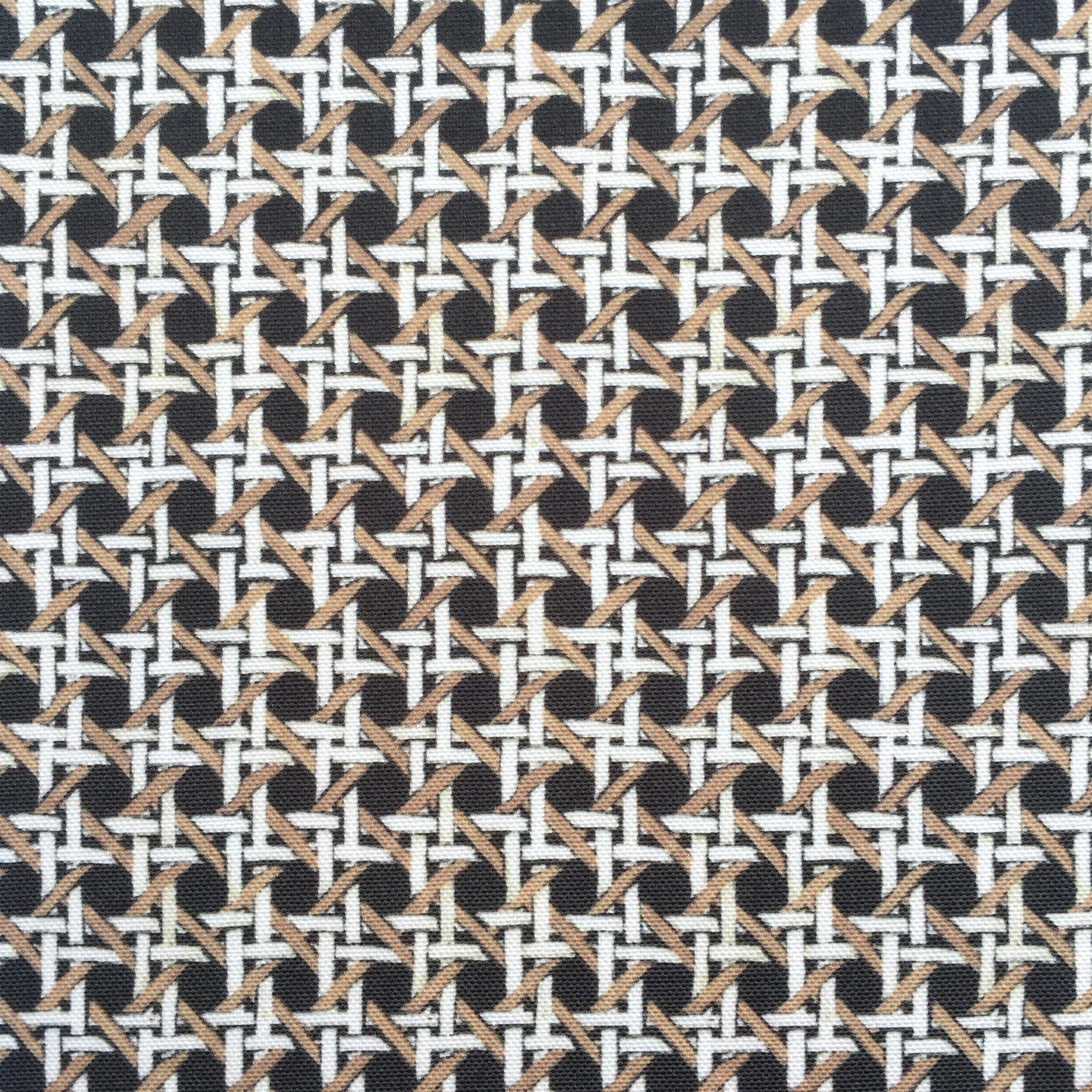 MINI Cane Print in NINE IRON PALM SPRINGS COLLECTION