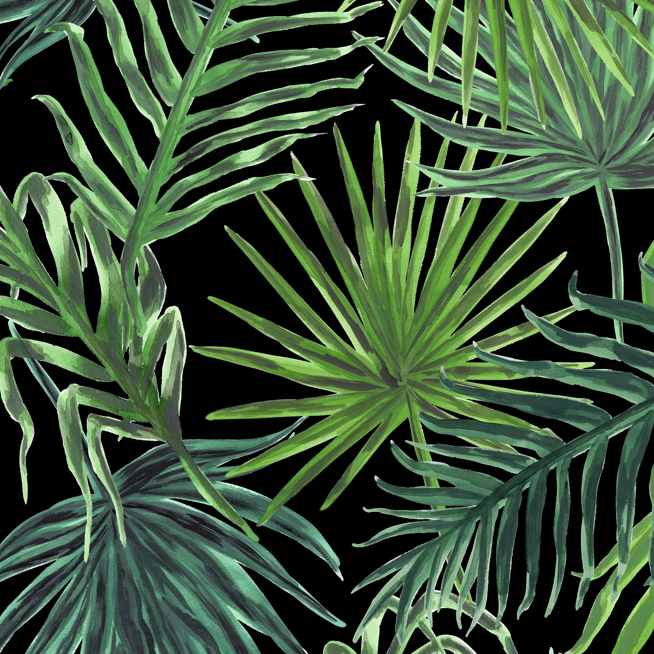 PALMS Print in BLACK PALM SPRINGS COLLECTION