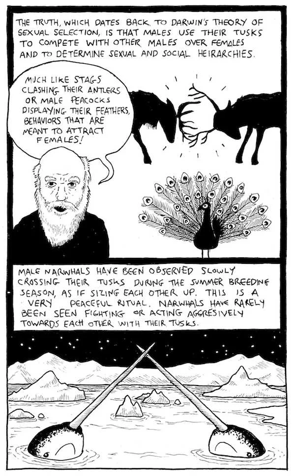 page 13 lo-res.jpg