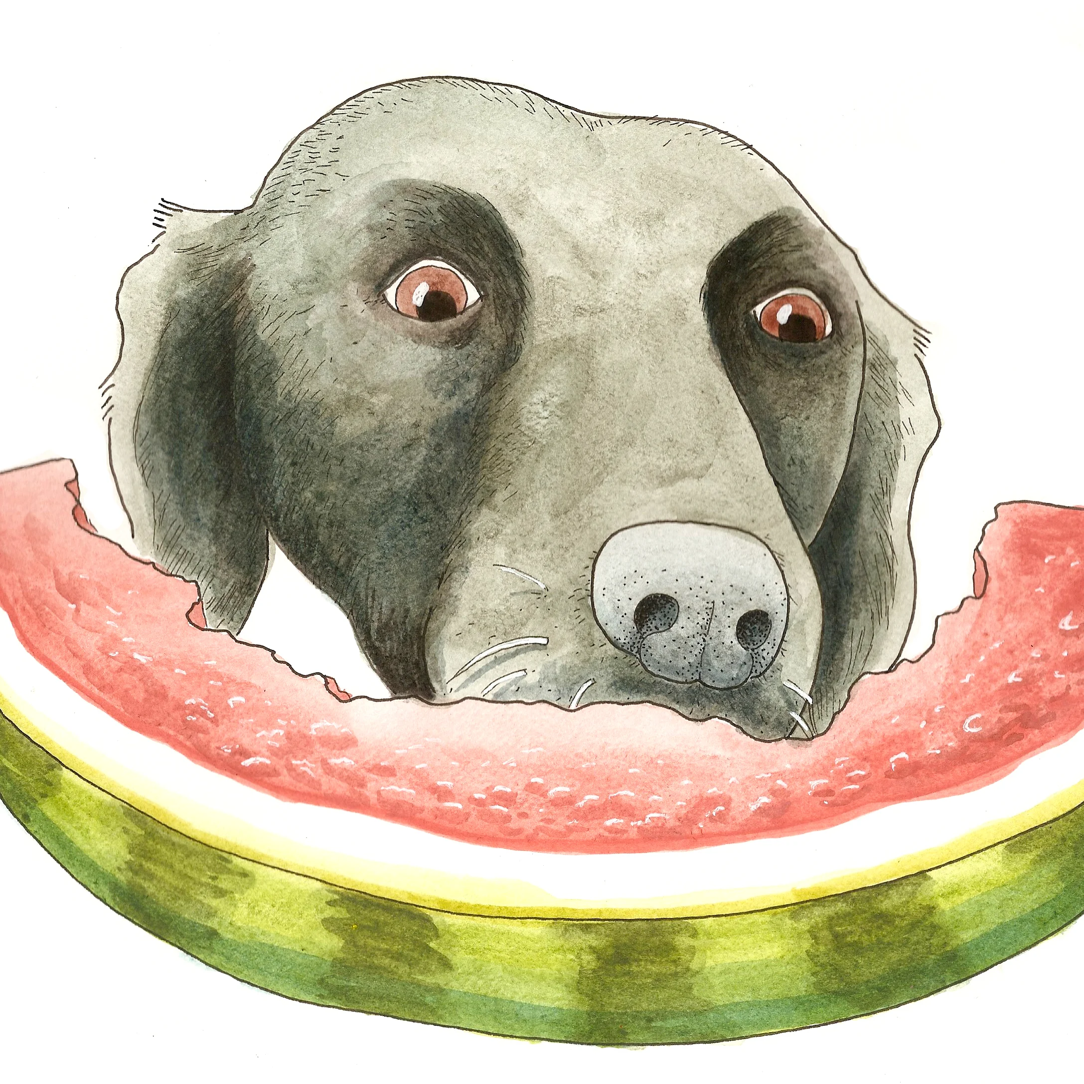 Flash with Watermelon 2.jpg