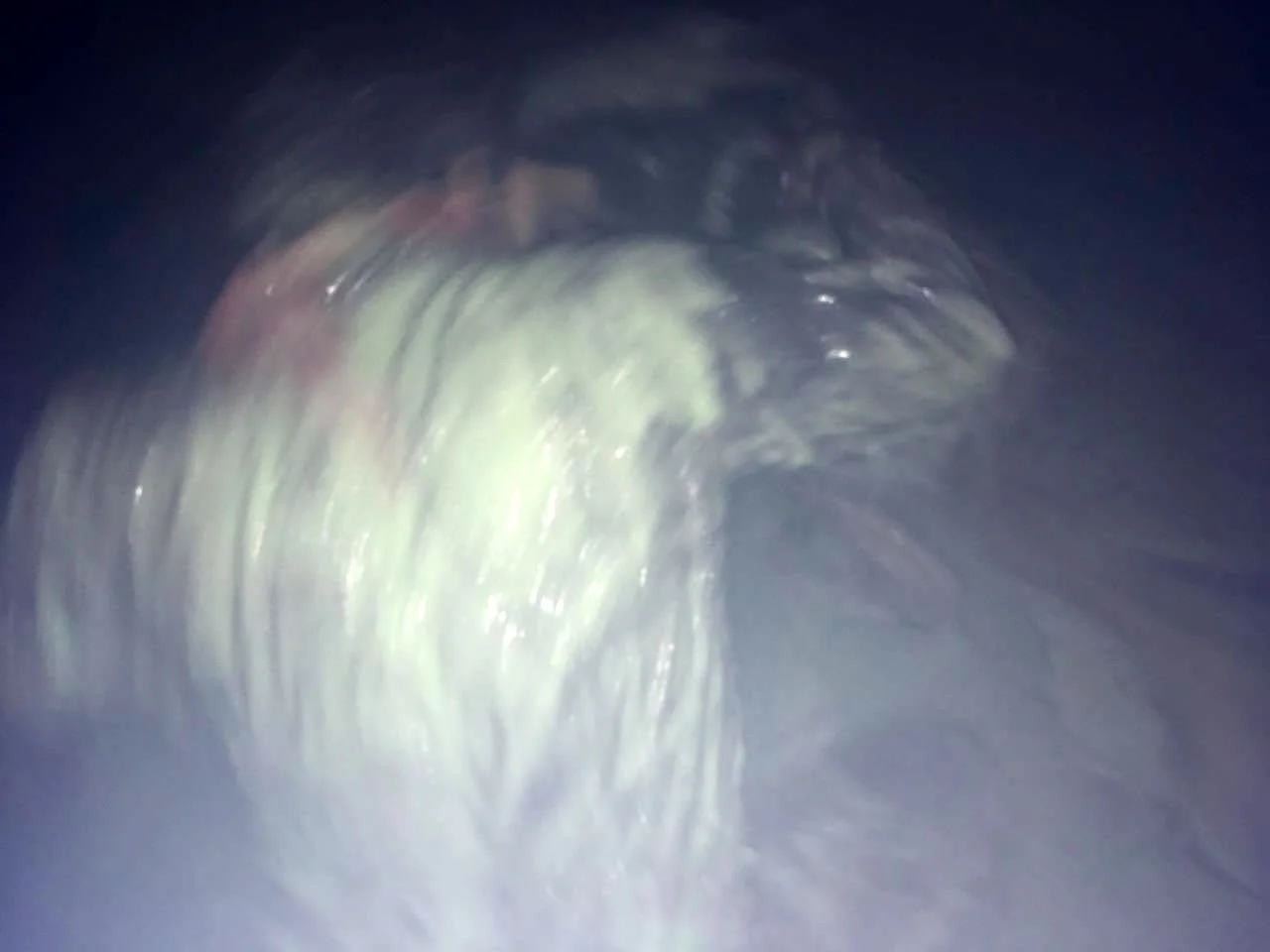 23191876_10214250772162378_1627484717_o.jpg