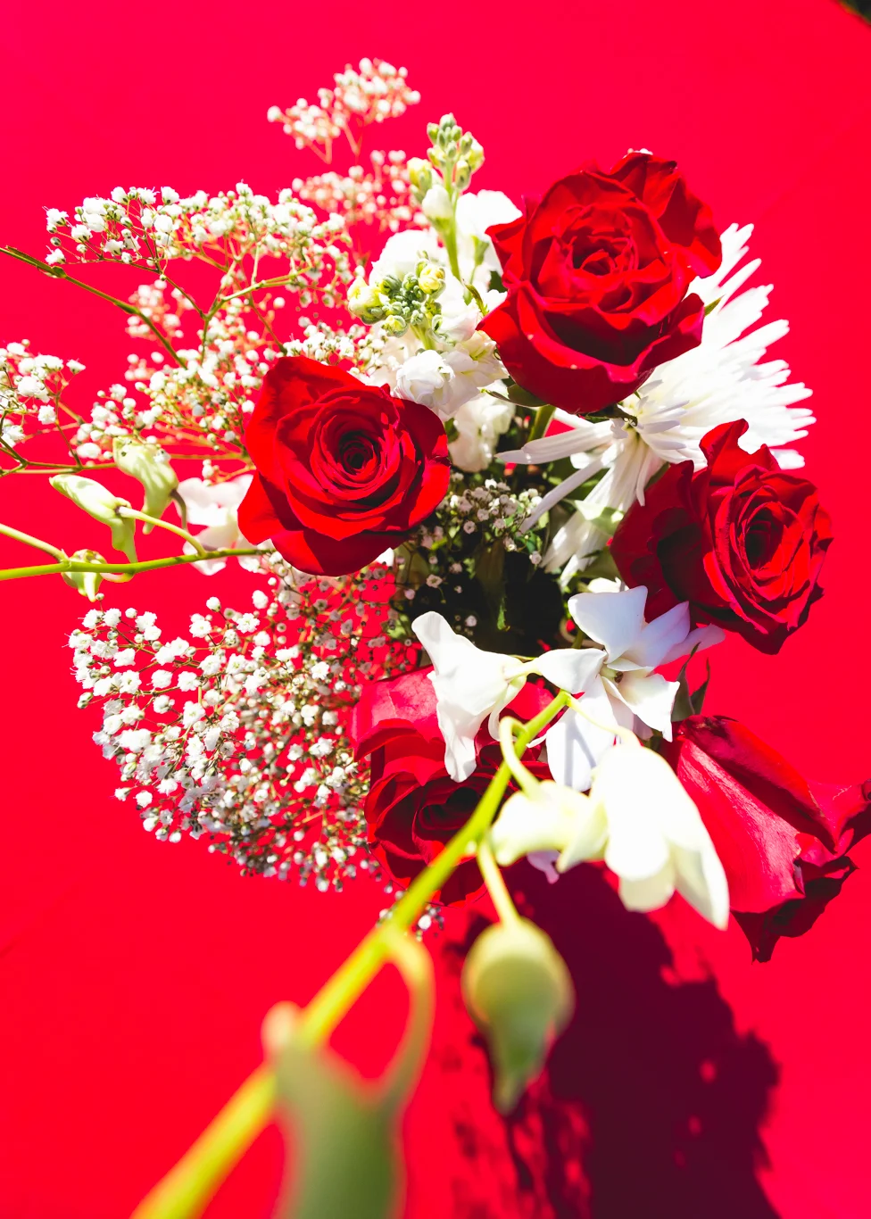 20161006_ShahWedding_Cam1-3850.jpg