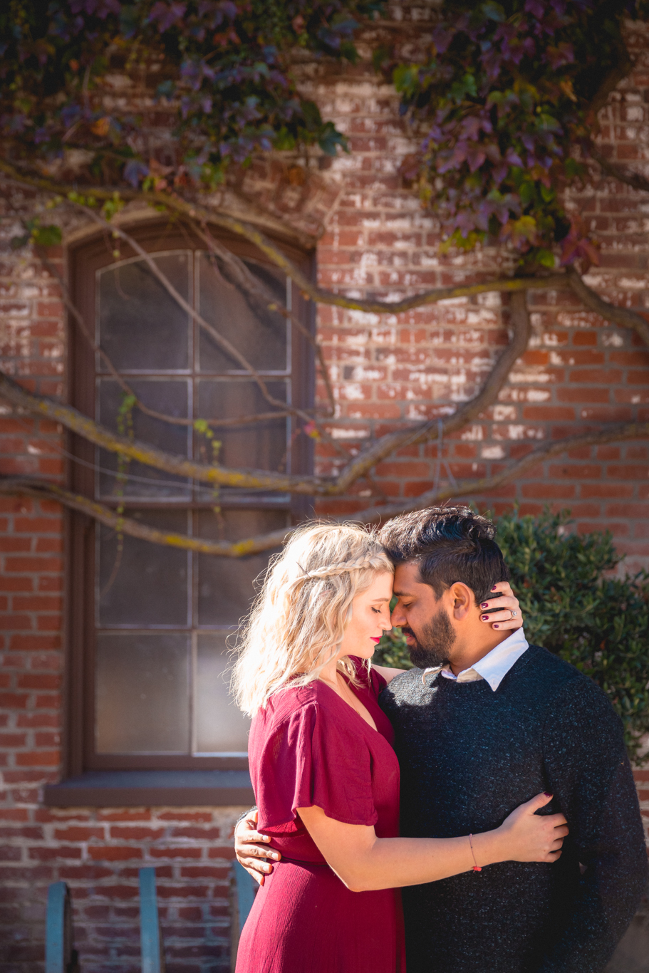 2018.12.03_Ashir-and-Emily-Engagement-Photography-@heymikefrancis-napa-valley-wedding-sacremento-california-heyfrancis-mikefrancis-.jpg