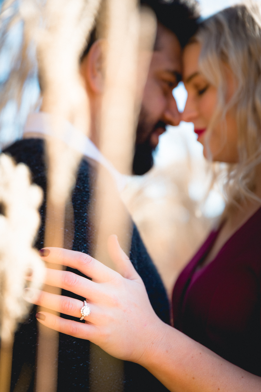 2018.12.03_Ashir-and-Emily-Engagement-Photography-@heymikefrancis-napa-valley-wedding-sacremento-california-heyfrancis-mikefrancis-7355.jpg