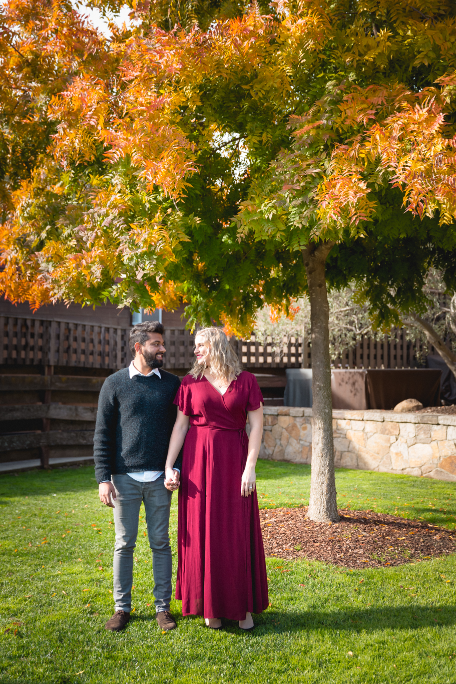 2018.12.03_Ashir-and-Emily-Engagement-Photography-@heymikefrancis-napa-valley-wedding-sacremento-california-heyfrancis-mikefrancis-7529.jpg