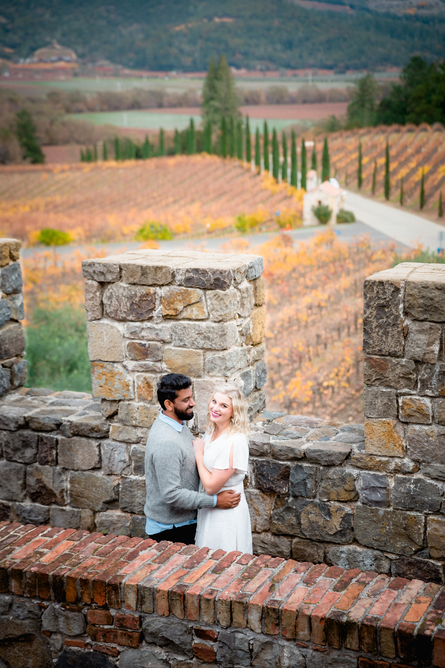 2018.12.03_Ashir-and-Emily-Engagement-Photography-@heymikefrancis-napa-valley-wedding-sacremento-california-heyfrancis-mikefrancis-8157.jpg