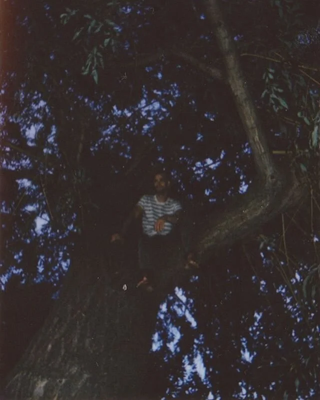 .
First day of summer gives you that
Incredible feeling, doesn&rsquo;t it? 
Everlasting warmth and starry nights.
Listen to the birds in the trees.
Dive under the water and feel the calming
Beat of your heart.
Changer comes out in 20 days.

7/17