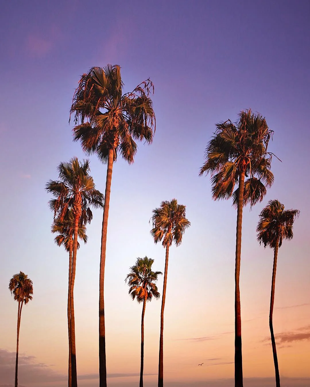 NomadicFare_California_10.jpg
