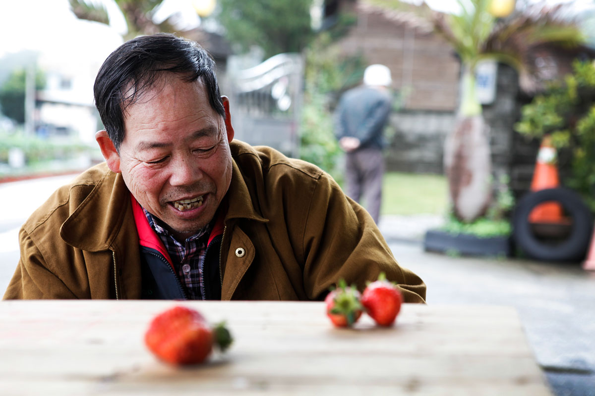 Taiwan_StrawberryPicking_7.jpg