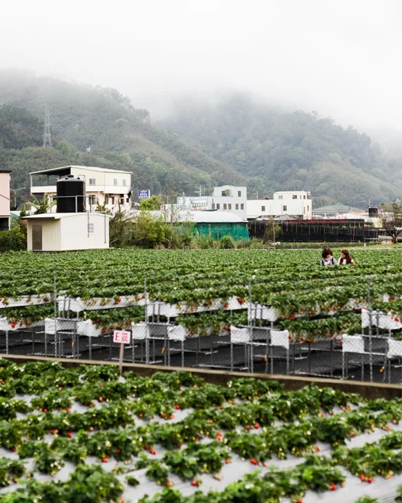 NomadicFare_Taiwan_36.jpg