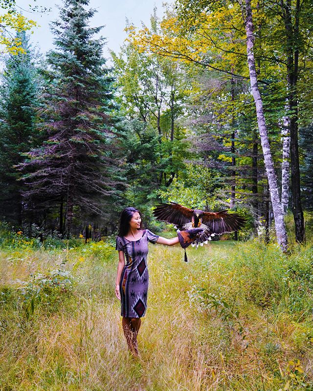 Meet my new pet, Phoenix the hawk. .
Just kidding. He prefers hanging with Sarah, our guide and falconer with @tremblantactivities. She gave us an introduction to falconry, or using birds of prey like Phoenix to hunt. Having worked with him the past 