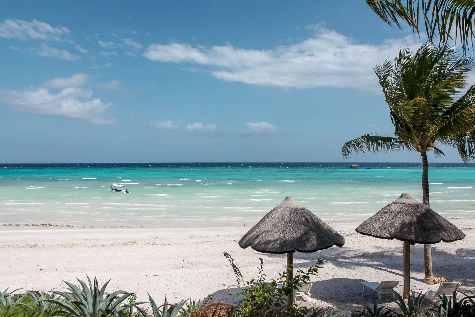 NomadicFare_Zanzibar_ConstanceAiyana16.jpg