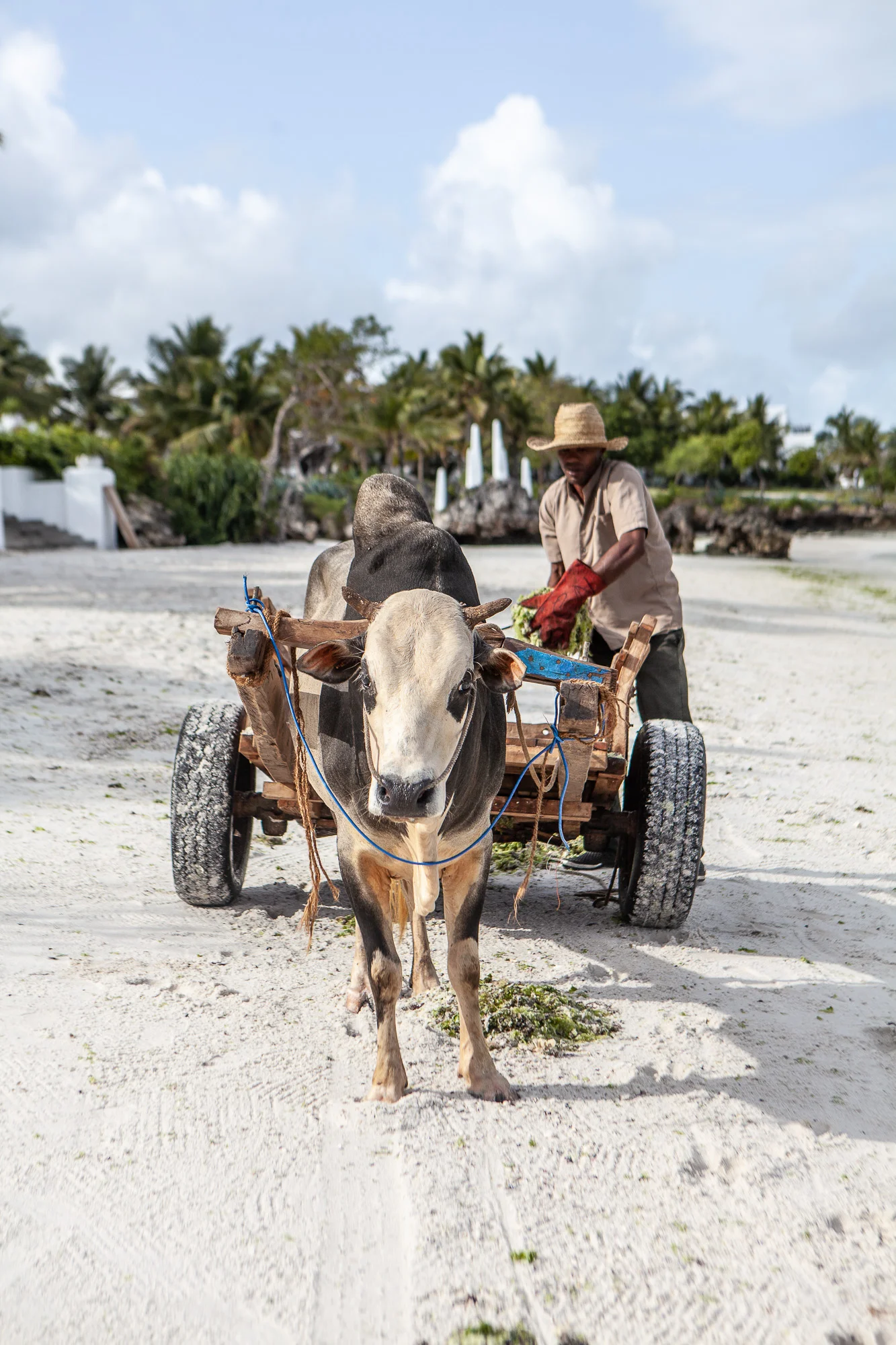 NomadicFare_Zanzibar_ConstanceAiyana38.jpg