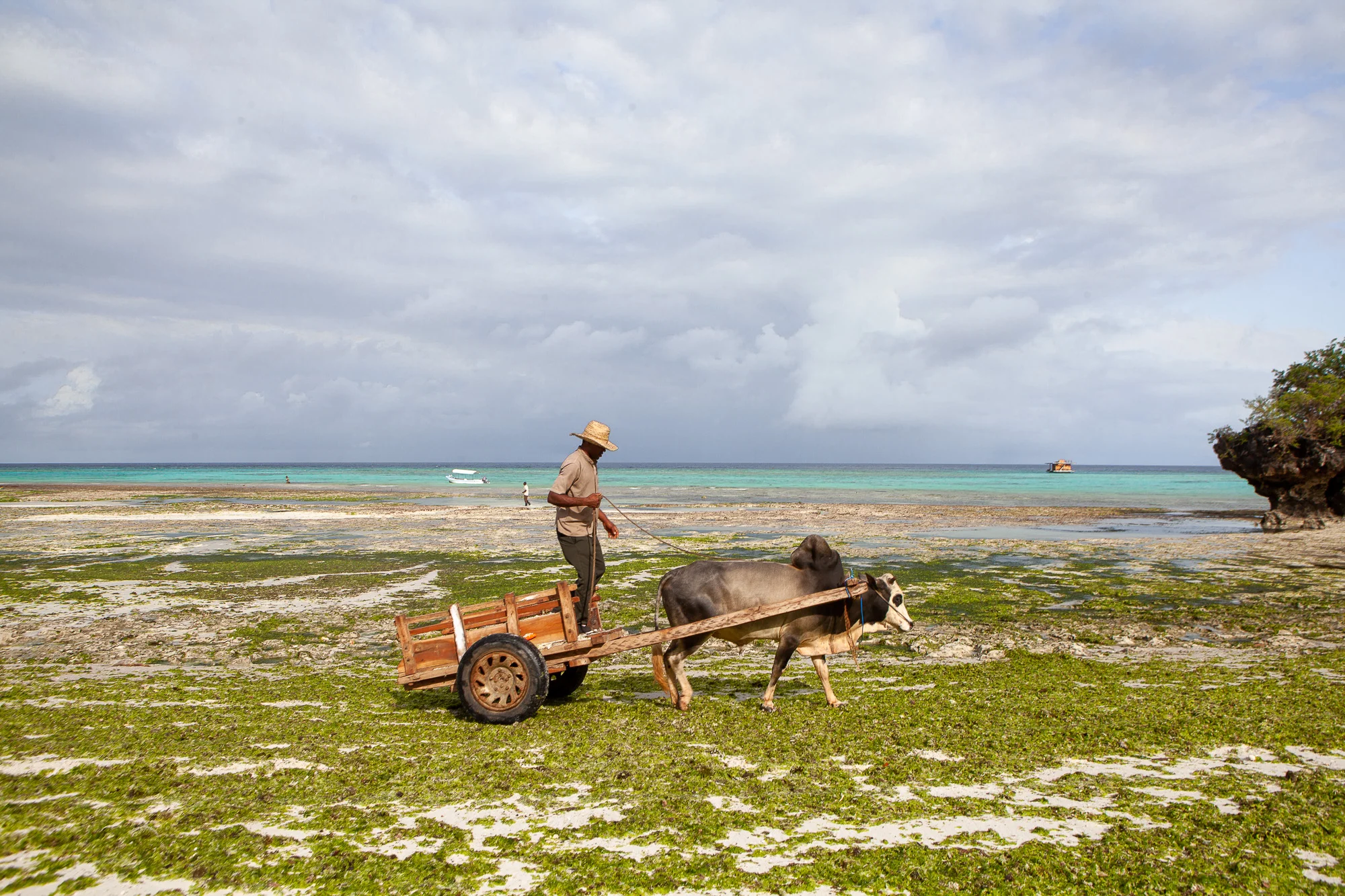NomadicFare_Zanzibar_ConstanceAiyana37.jpg