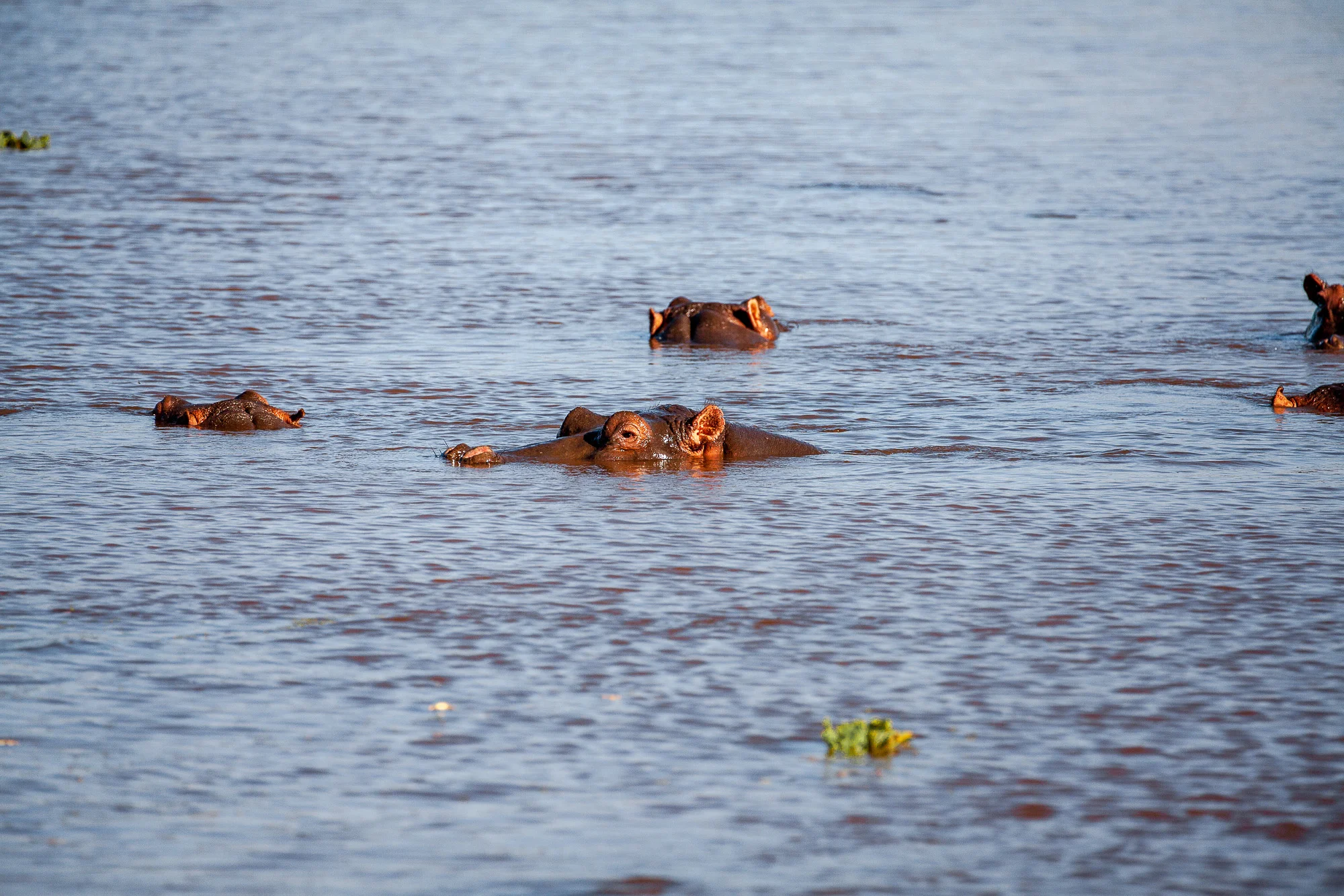 NomadicFare_tanzania_GAdventures15.jpg