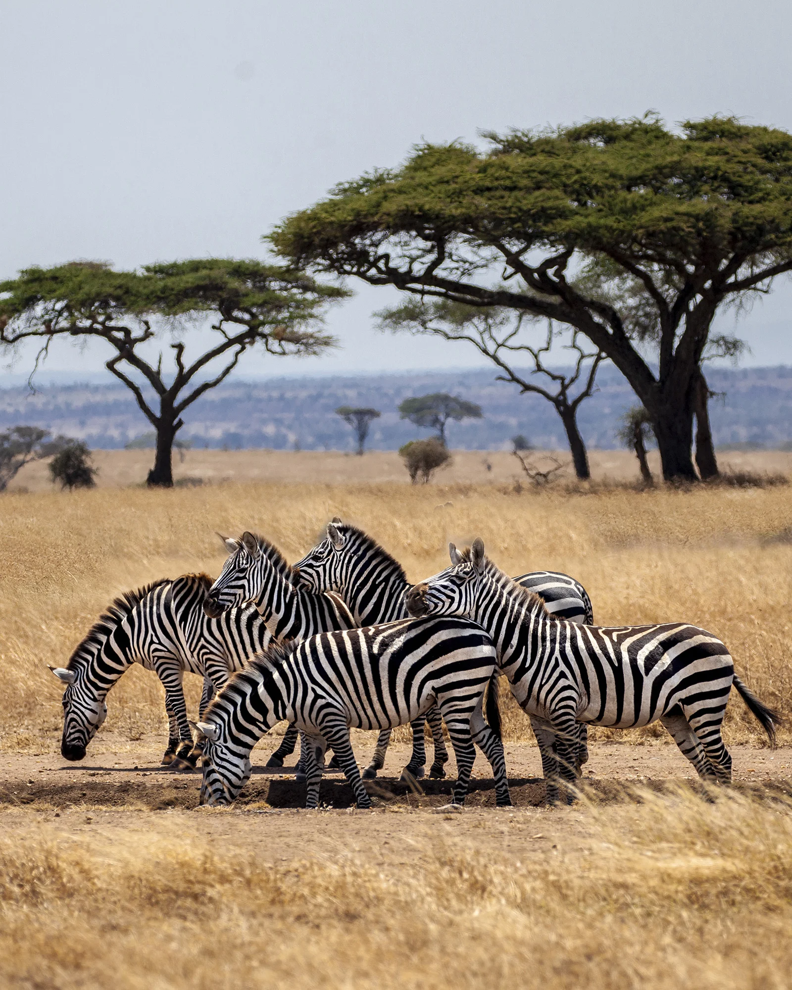 NomadicFare_tanzania_GAdventures39.jpg