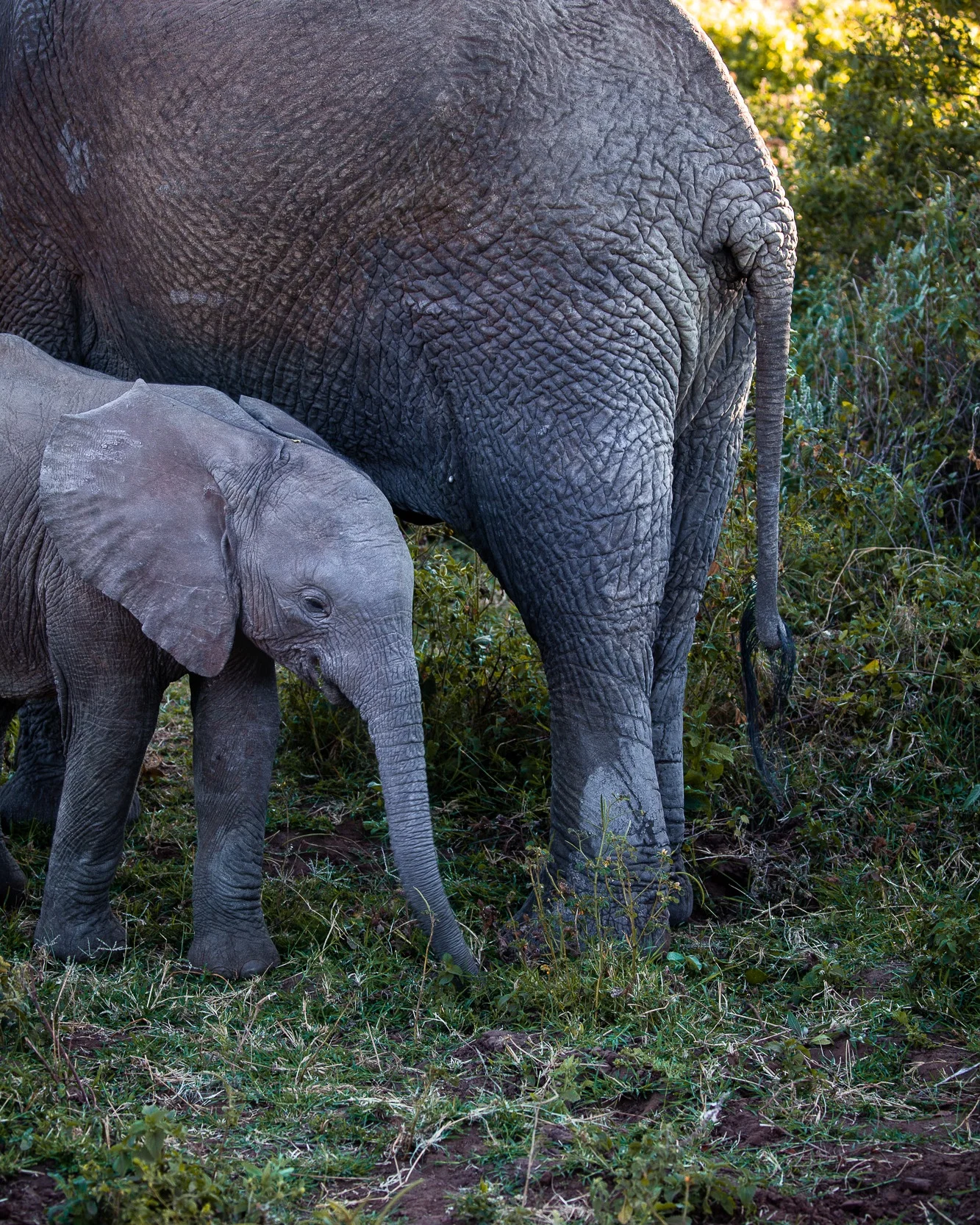 NomadicFare_tanzania_GAdventures06.jpg