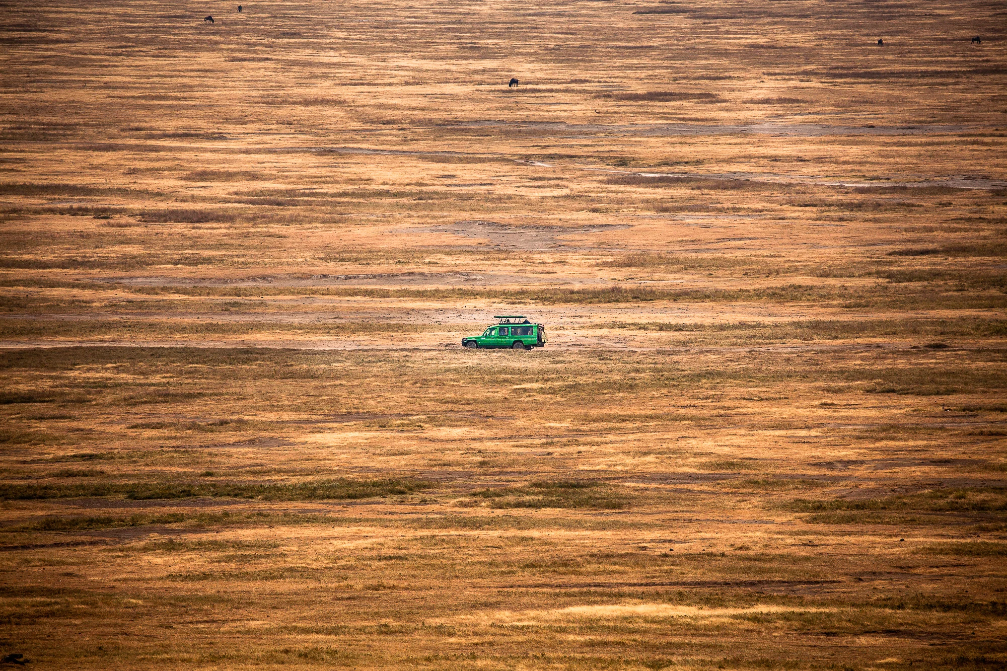 NomadicFare_tanzania_GAdventures40.jpg