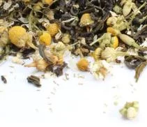 Chamomile green.JPG