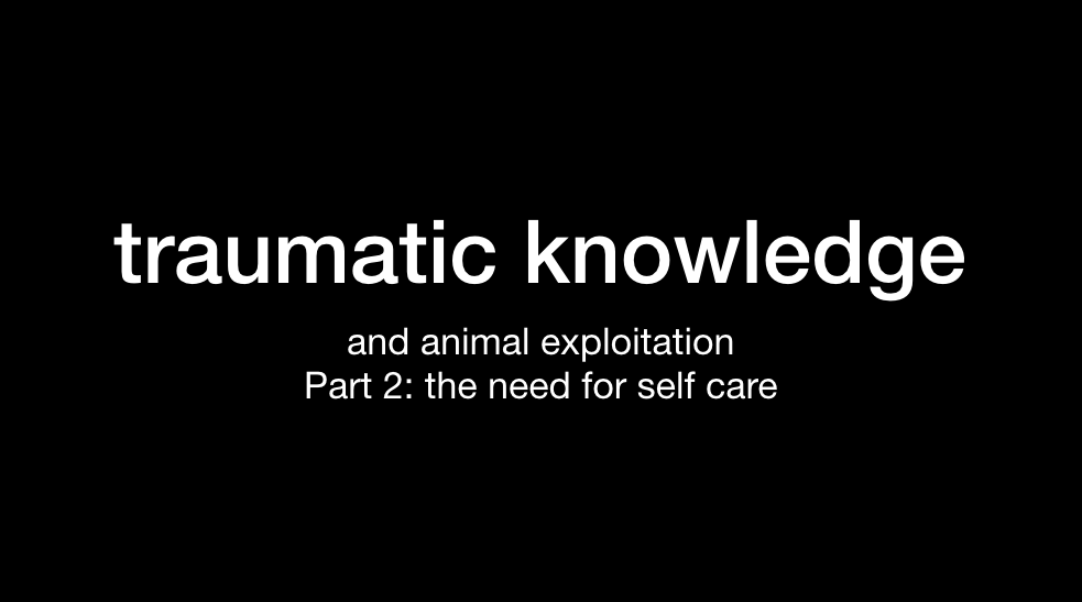 Traumatic Knowledge and Animal Exploitation: Part 2 The Need for Self Care