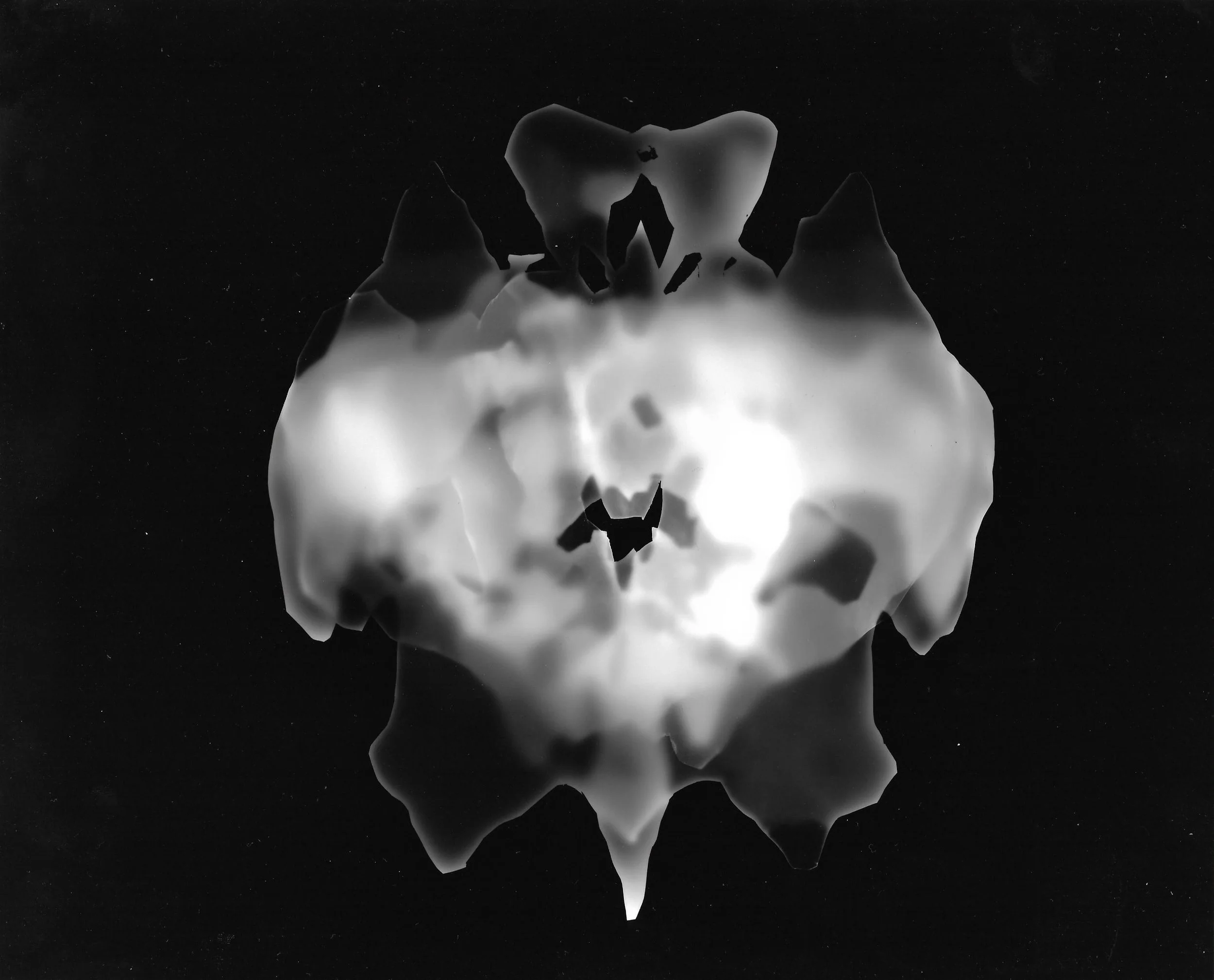 photographic Scan0003.jpg