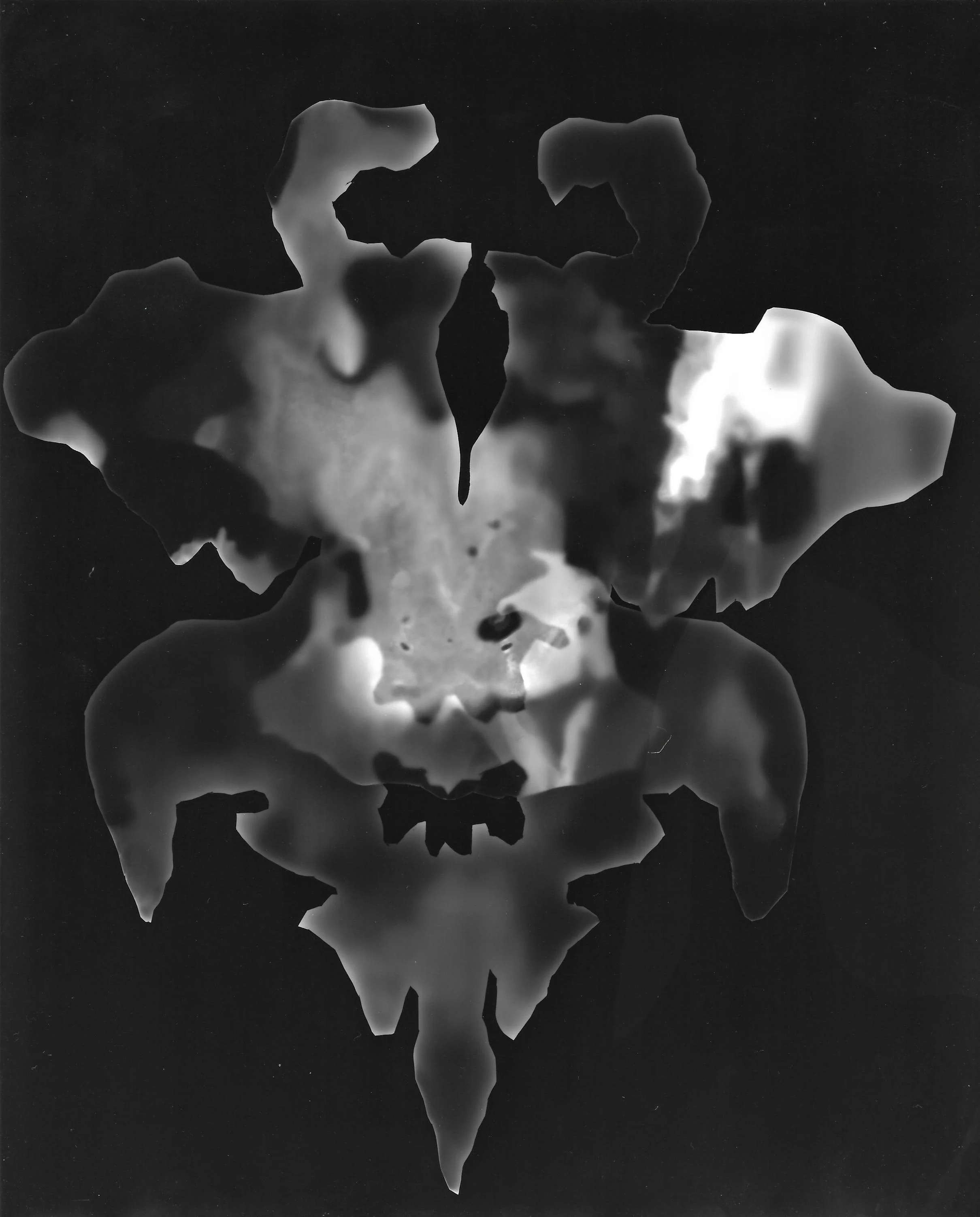 photographic Scan0004.jpg